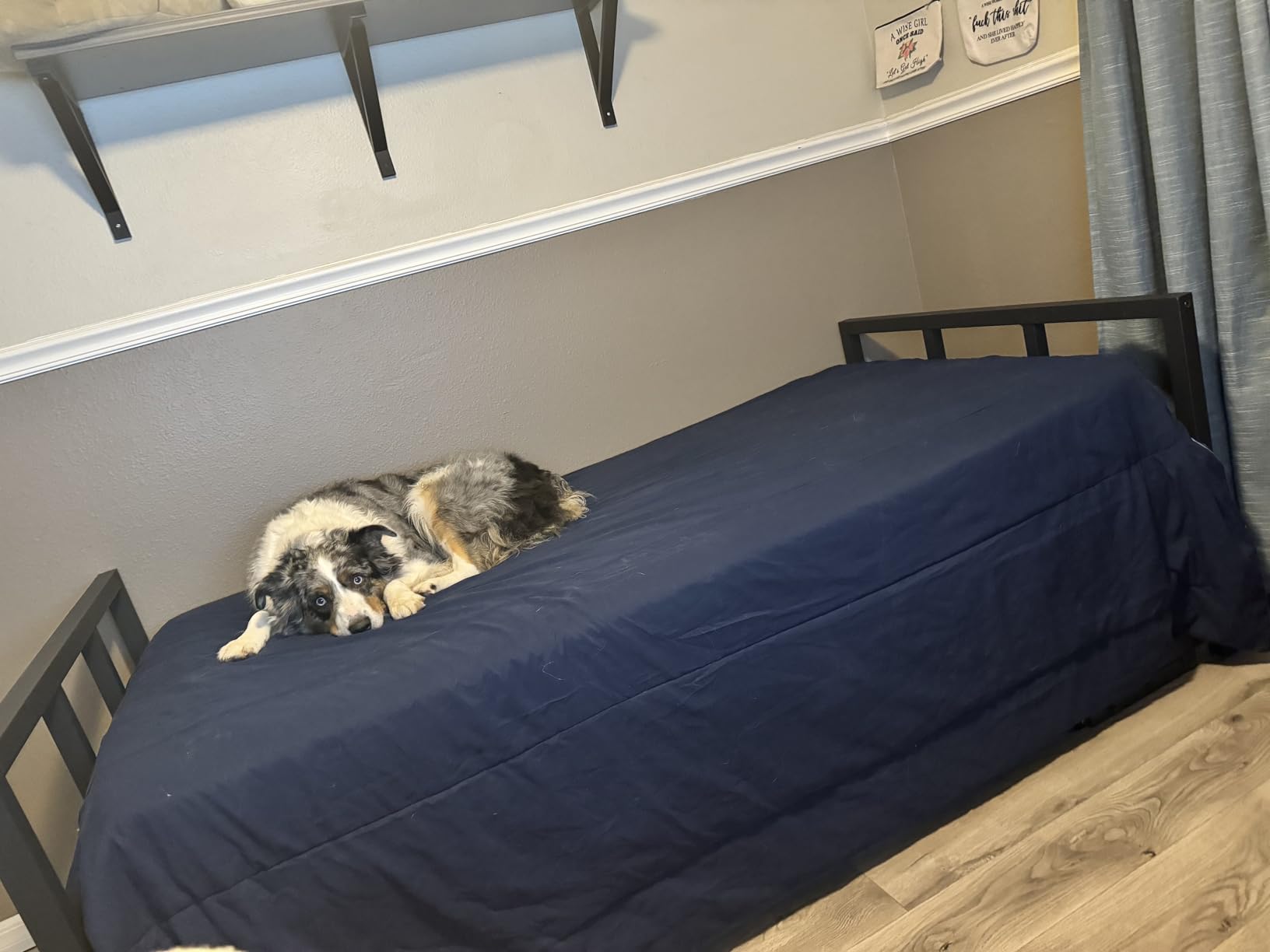 Milliard Twin Daybed and Fold- Up Trundle Set, Daybed with Pop Up Trundle, Black Frame - Mattresses Sold Separately customer photo 1