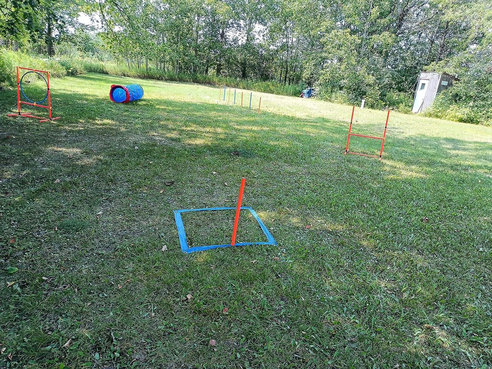 Agility Training Set for Dogs - Affordable Training Kit Dog Jump Training Obstacle Course Starter Kit Pet Outdoor Games with Tunnel, Dog Flying Disc, Weave Poles, Jump Ring, Carrying Bag customer photo 2