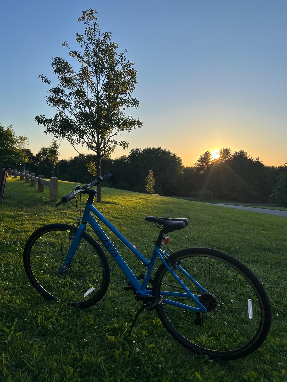 AVASTA Populus 700C Road Bike for Women with Kickstand, 15 17 Inch Lightweight Step Through Aluminum Alloy Frame, 7-Speed Drivetrain, Multiple Colors customer photo 1