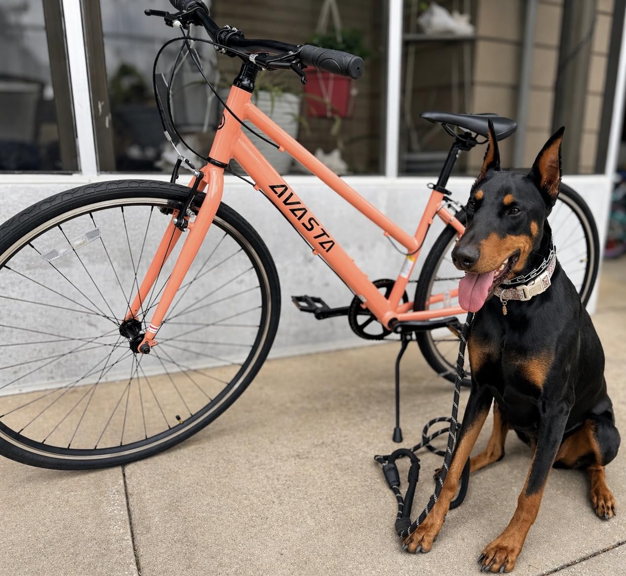 AVASTA Populus 700C Road Bike for Women with Kickstand, 15 17 Inch Lightweight Step Through Aluminum Alloy Frame, 7-Speed Drivetrain, Multiple Colors customer photo 2
