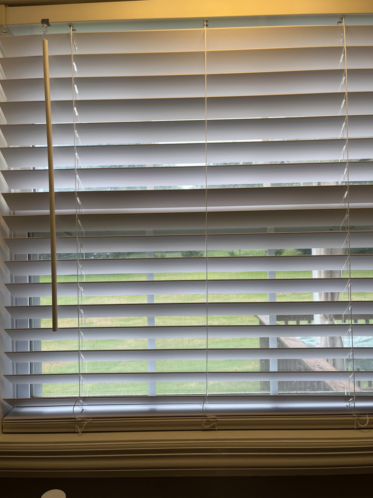 LazBlinds 2