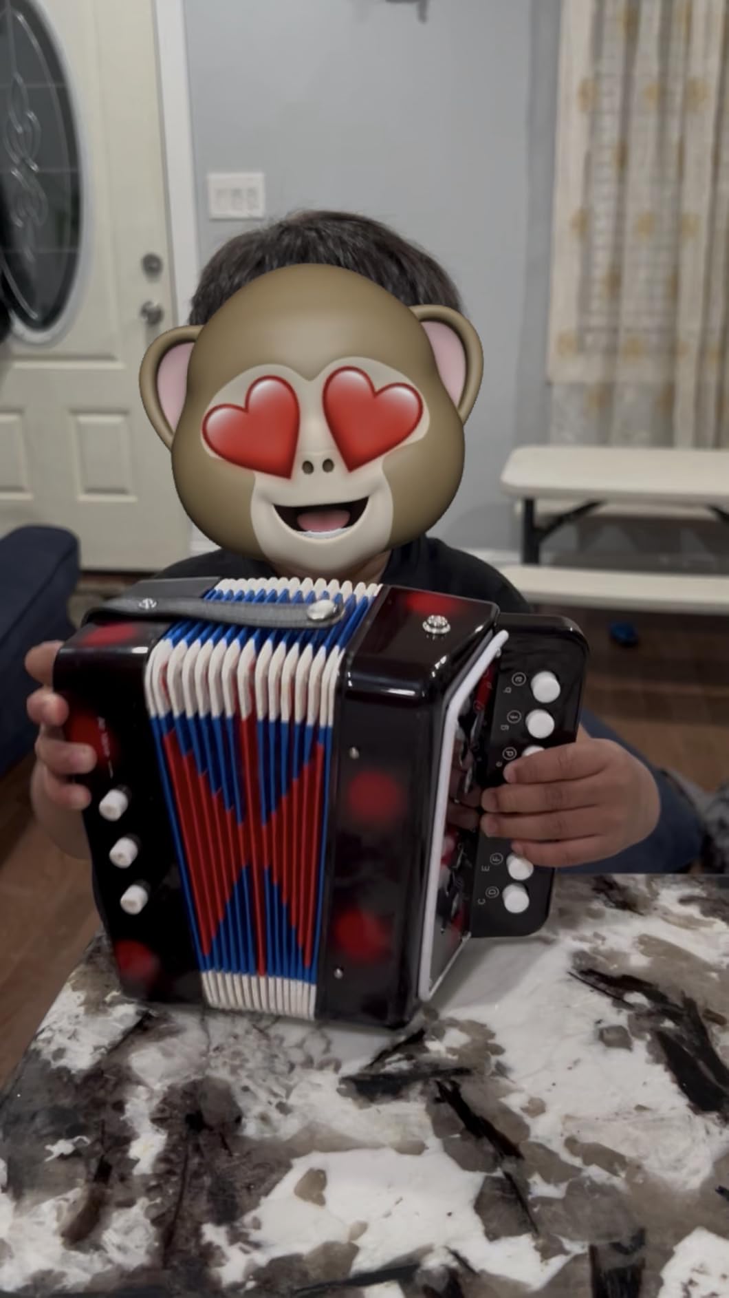 LIEKE Accordion 10 keys Button Accordion Toy for kids,Musical Instrument,Mini Accordian for Children Beginners (Black) customer photo 1