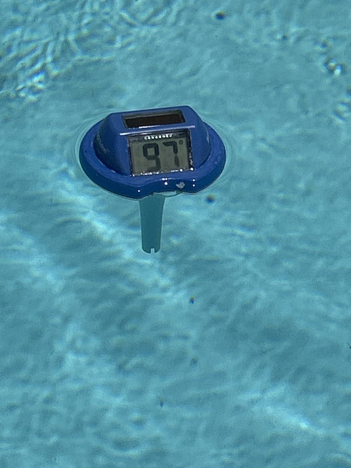 VINGLI 16x32ft Solar Pool Cover 12mil Rectangle Blue customer photo 1