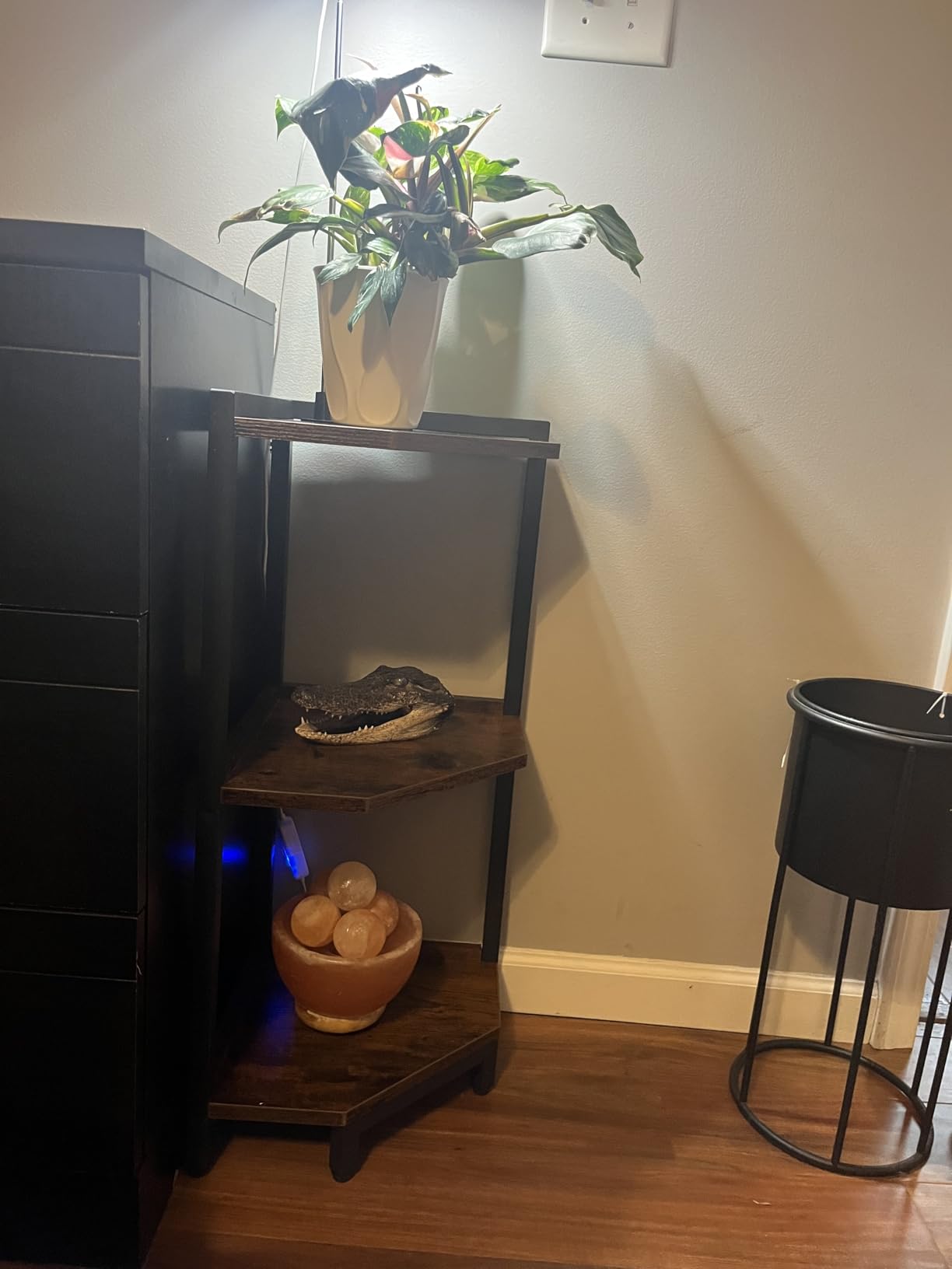 Hzuaneri Corner Shelf Stand 6-Tier Corner Bookshelf Storage Standing Shelf customer photo 1