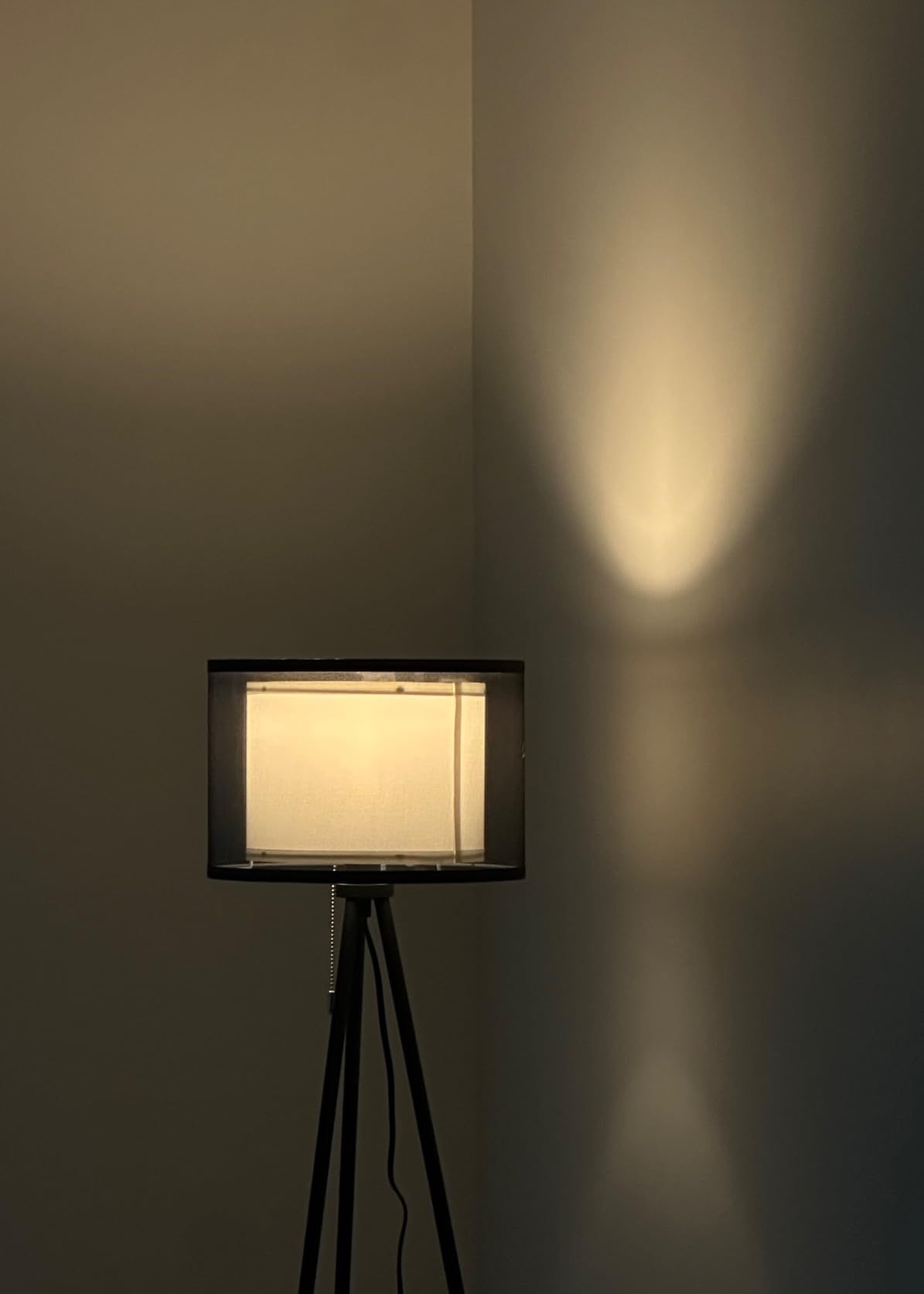 KDG Modern Black Floor Lamp - Tall Tripod Lamp for Living Room customer photo 2