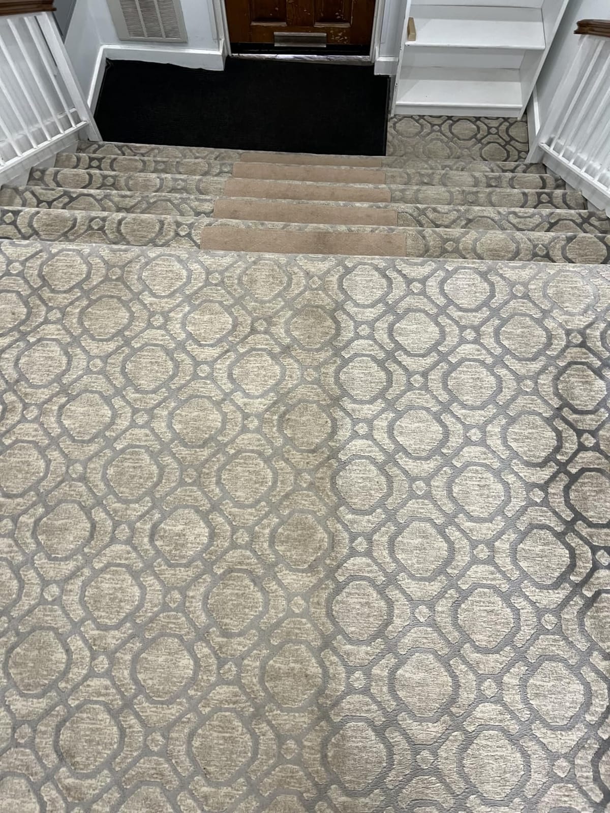 Shark CarpetXpert StainStriker Carpet & Upholstery Cleaner, 3 Tools, EX201 customer photo 1