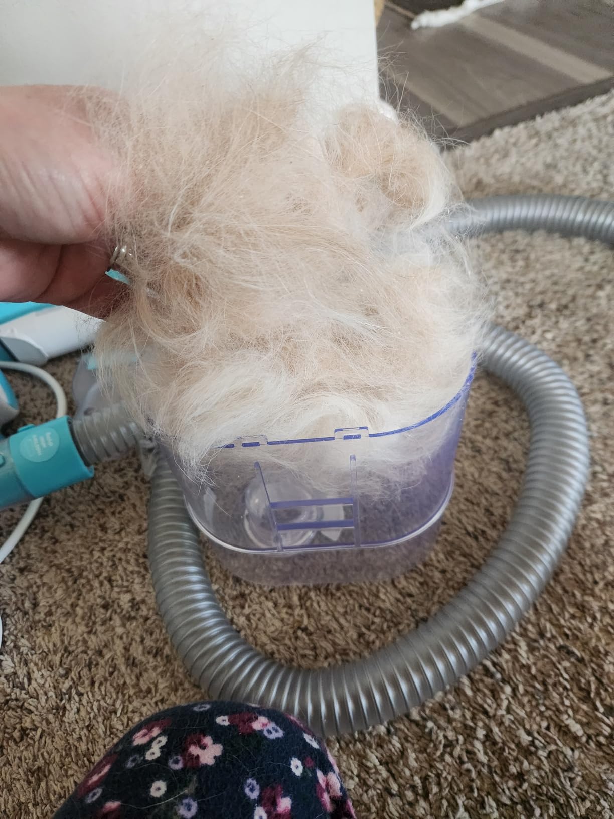 Uproot Clean Pet Grooming Vacuum for Dogs & Cats: 7-in-1, Quiet & Mess-Free | Pet Hair Vacuum with 7 Tools - Brush, Deshed, Detangle, Trim, Clean & Dry. Low-Noise Cat & Dog Grooming Kit for Shedding customer photo 2