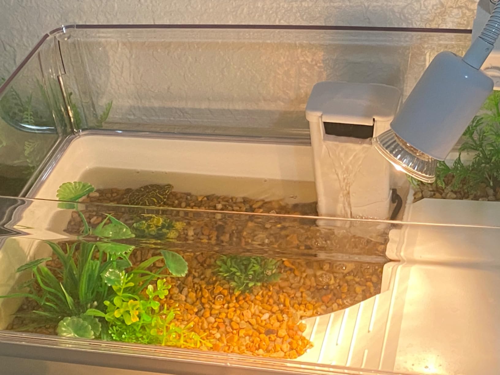 AZV Turtle Tank Starter Habitat Kit,Complete Aquatic Terrarium Enclosure | With Filter,Basking Platform with Hideout,Multi-Function Area,Drainage,Plants and Lamps,Perfect for Red Eared Slider Aquarium customer photo 1