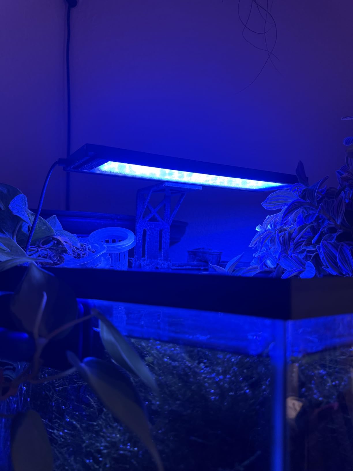 SEAOURA Clip On Aquarium Light for Plants-24/7 Fish Tank Light, 12-20 Inch customer photo 2