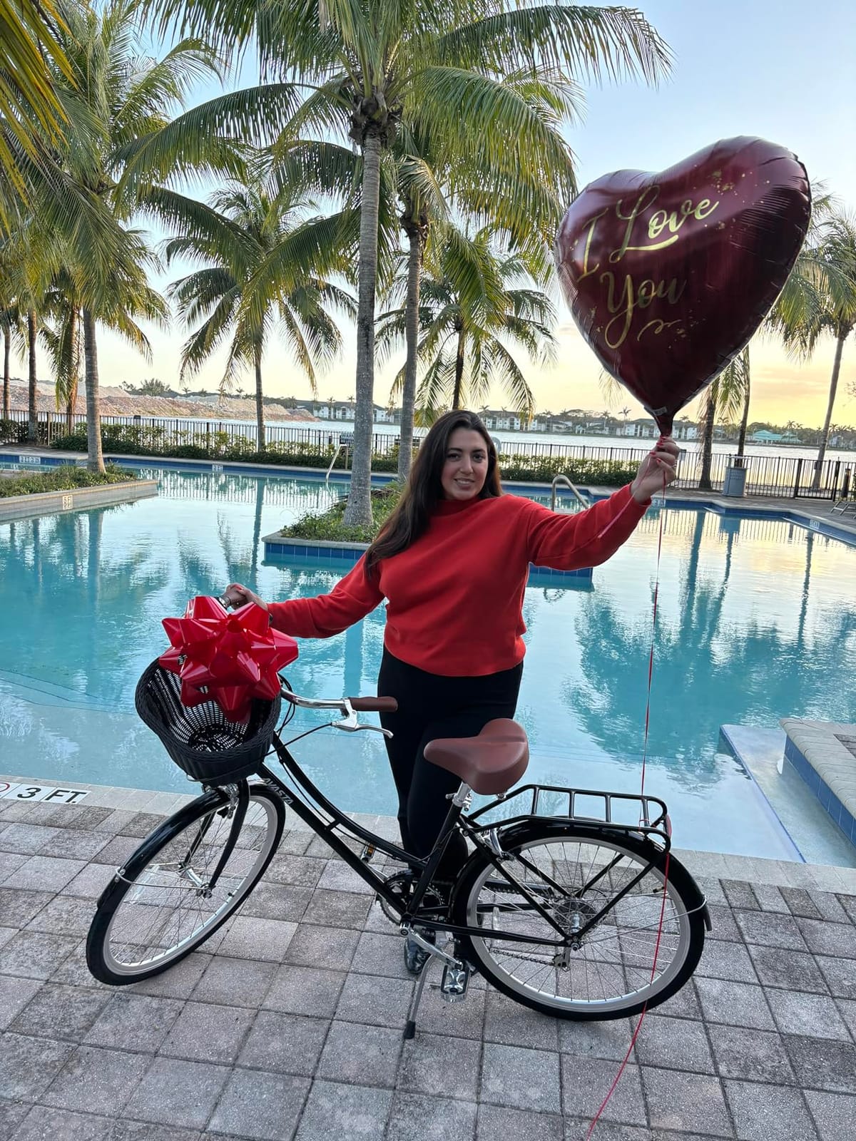 AVASTA Vela 26 Inch Women Female Hybrid Bike | Dual V-Brake, Alternative Light or Basket, Wide Saddle, Step-through Frame with Smooth 6-speed for Comfortable Commuting customer photo 2