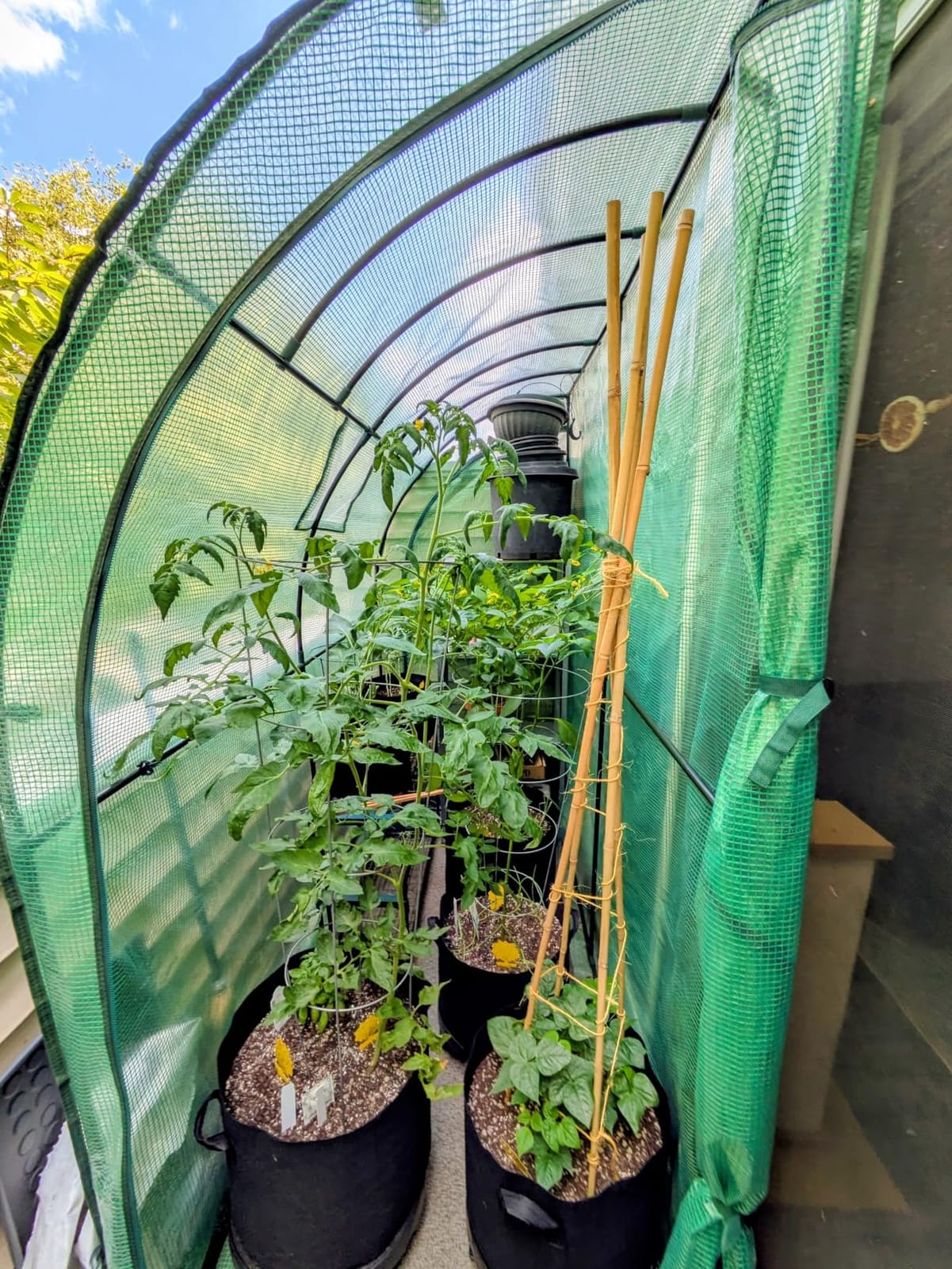 Lean to Greenhouse with 3-Tier Shelves: Ohuhu Portable Walk-in Wall Mounted Green House with Mesh Windows, 79