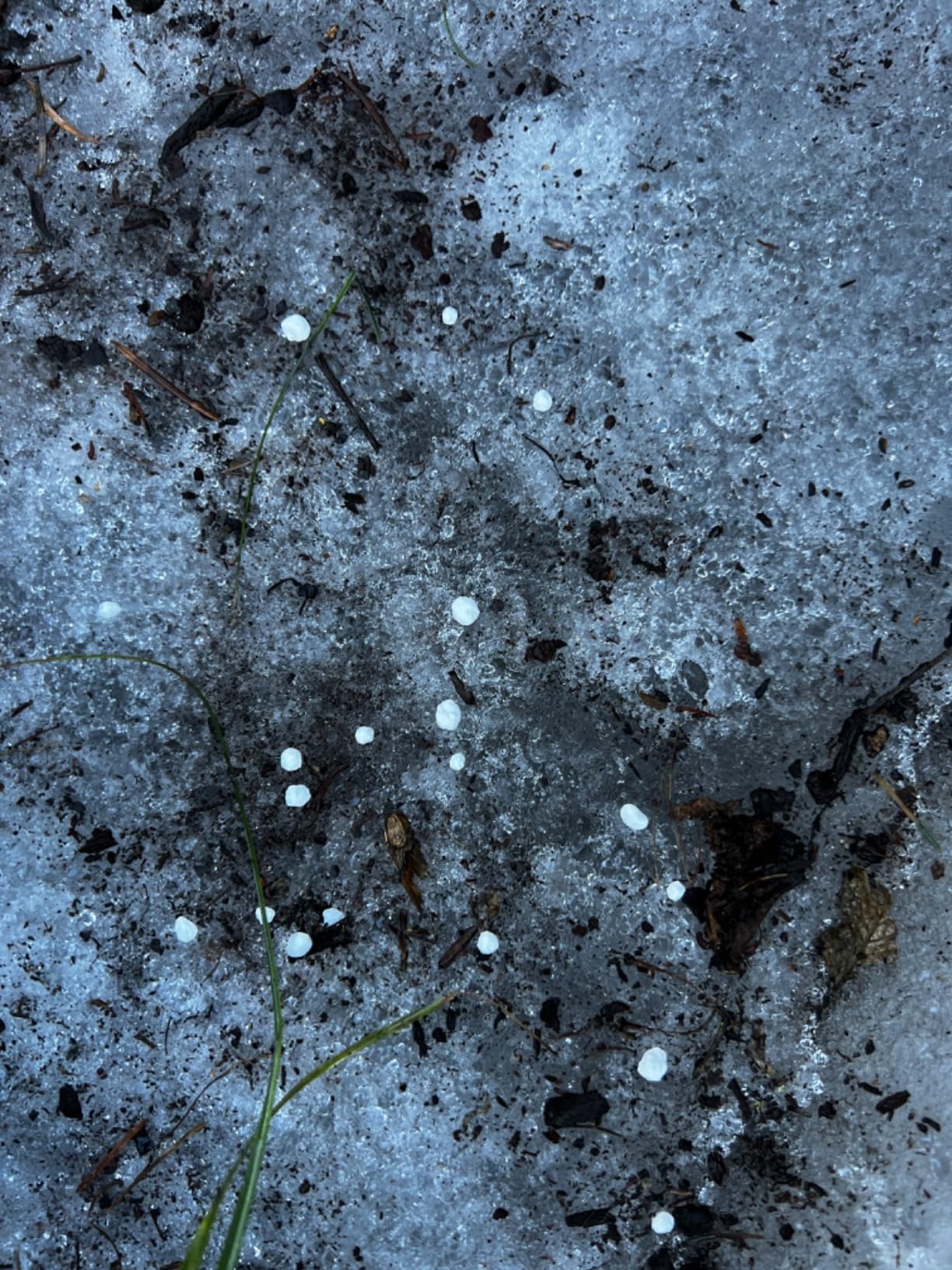 Split Open and Melt Calcium Chloride Pellets Ice Melter (25 lbs) customer photo 1