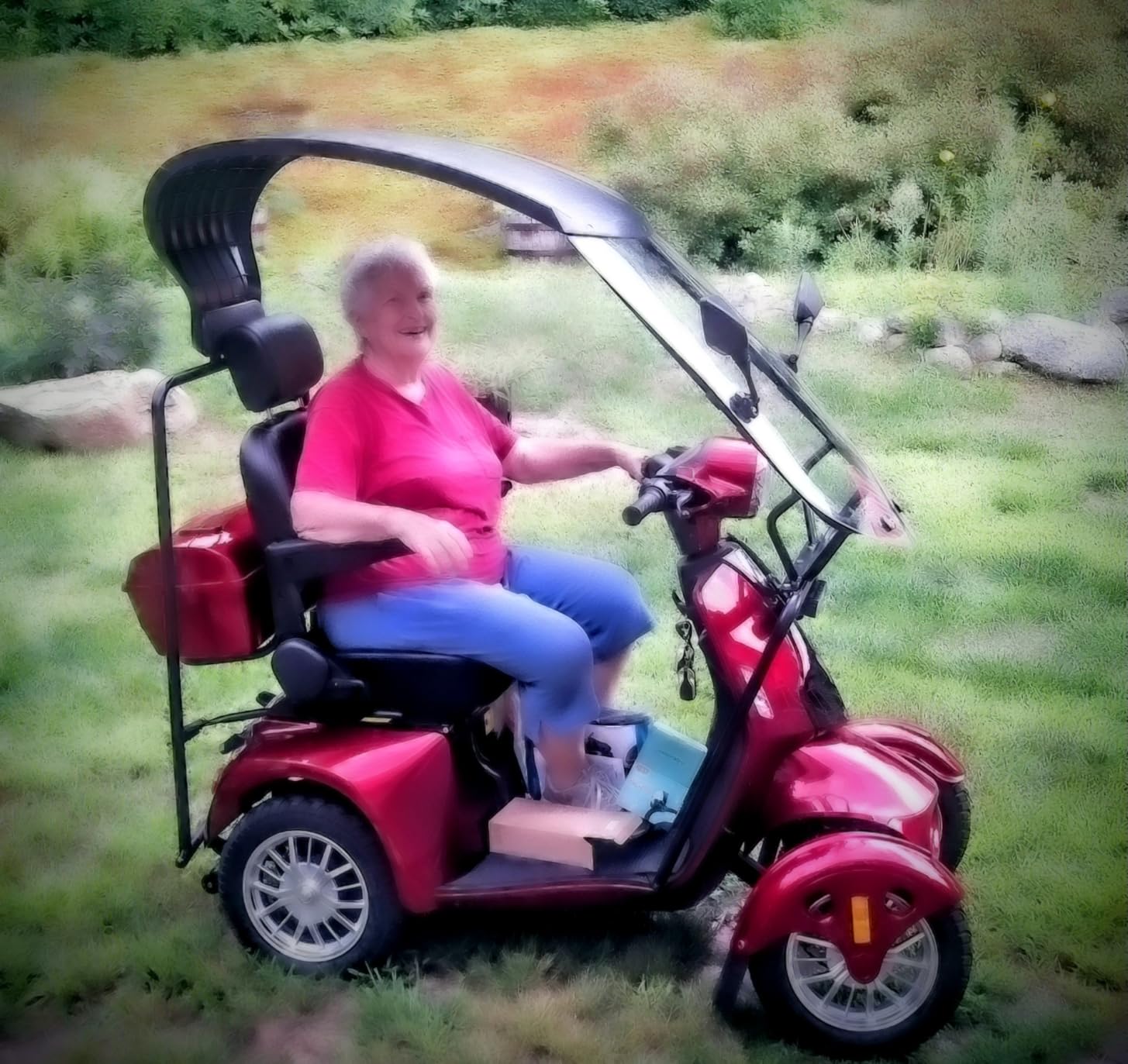 Heavy Duty Mobility Scooter with Roof & Windshield - Electric Powered Wheelchair for Seniors & Adults 500lbs Capacity- 800W Fast Mobility Chair with Long Range Battery Remote Keys customer photo 2