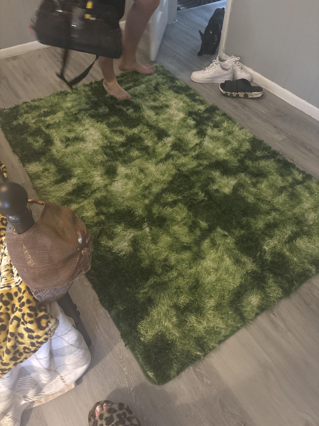 DweIke Fluffy Dark Green Rugs for Bedroom Living Room, 4x6 Feet Soft Plush Shaggy Tie-Dyed Forest Moss Green Girls Boys Kids Rug, Non-Slip and Machine Washable Carpet for Dorm Nursery Decor customer photo 2