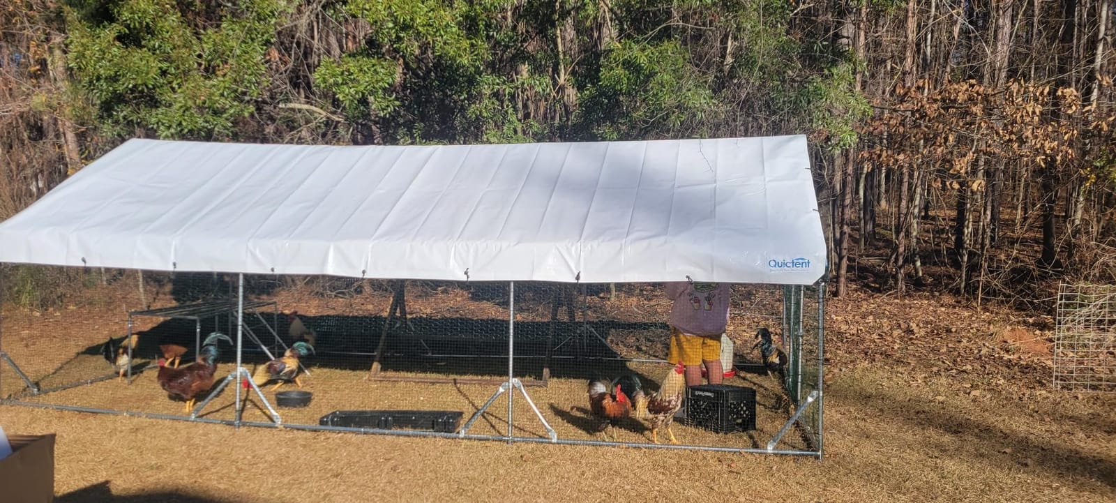 Quictent Large Metal Chicken Coop Run for 30+ Poultry w/Side Hardware Cloth | Waterproof Cover, Advanced Series Outdoor Walk-in Cage Hen Duck Rabbit Dog Pen Yard Farm House, 18x9x6.6FT customer photo 1