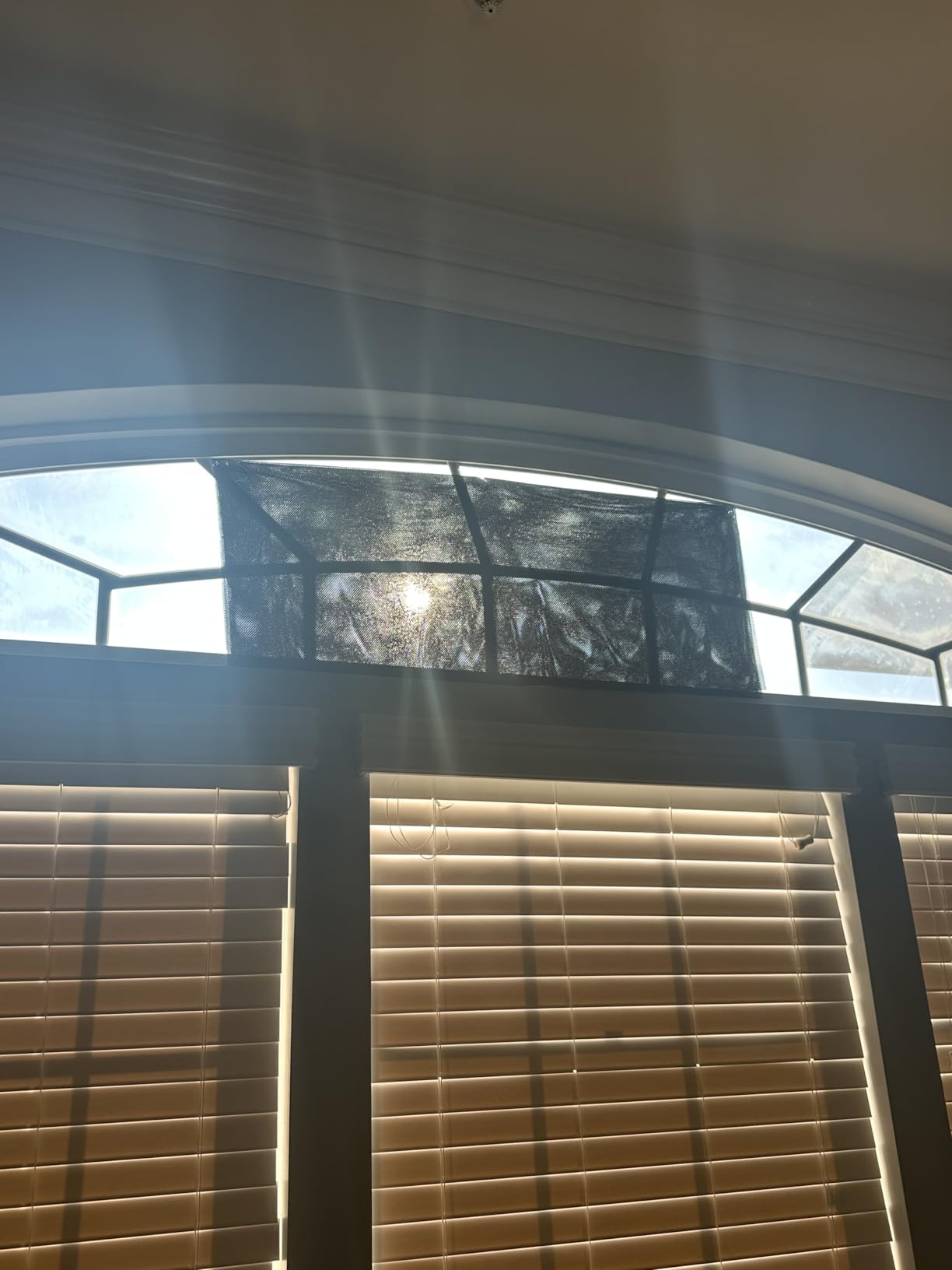 SCHRLING No Drill Cordless Light Filtering Roller Shades, Transparent Temporary Window Shades for Filtering Glare, 39