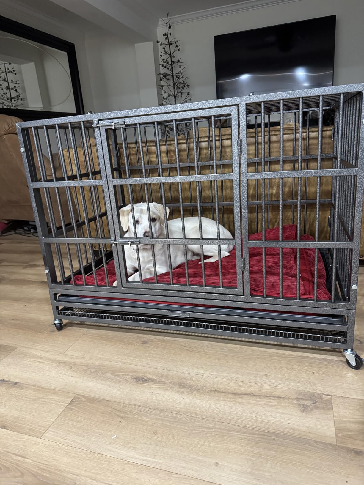 KOKOTANGS 48 Inch Heavy Duty Dog Crate Cage with Wheels, Indestructible and Escape Proof Steel Kennel Indoor for High Anxiety Dogs with Sturdy Locks, Double Door and Tray, Extra Large XL XXL, Black customer photo 2