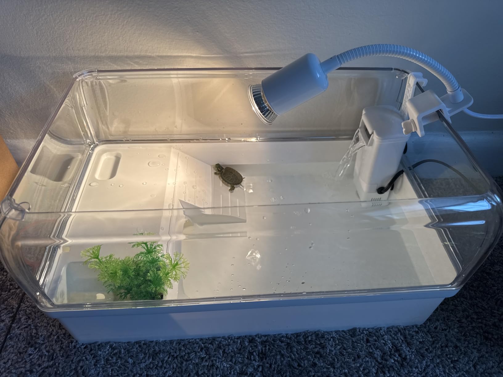 Turtle Tank Starter Kit for Baby Turtles,6.57 Gallon Small Green customer photo 2