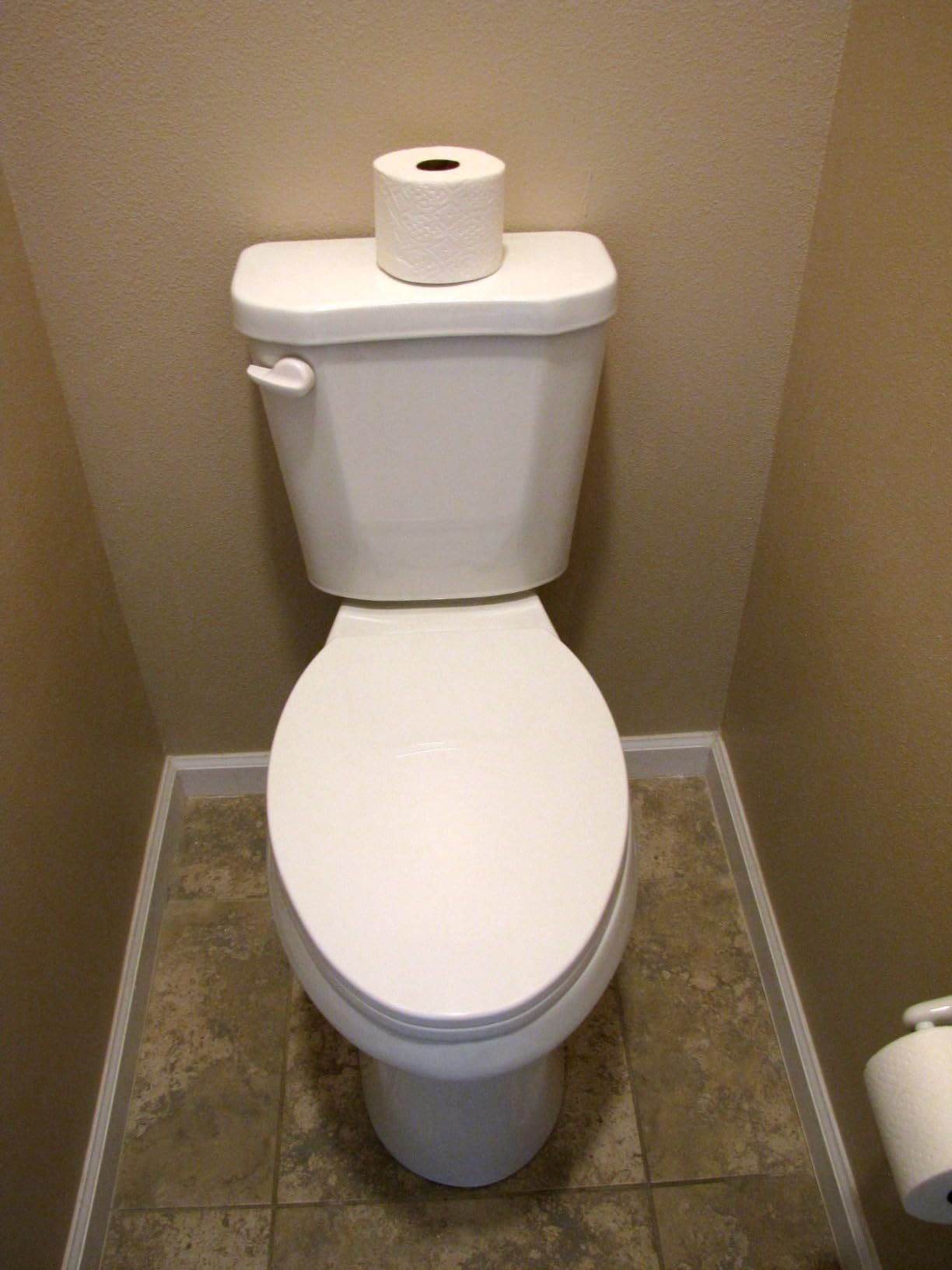 Simple Project 21 Inch High Tall Toilet for Seniors & Tall Person,1.28GPF | Elongated Comfort Seat, 1.28 Gpf Powerful Single Flush Extra Tall Toilet, 12 Inch Rough In Bathrooms Comfort Height Toilet customer photo 2