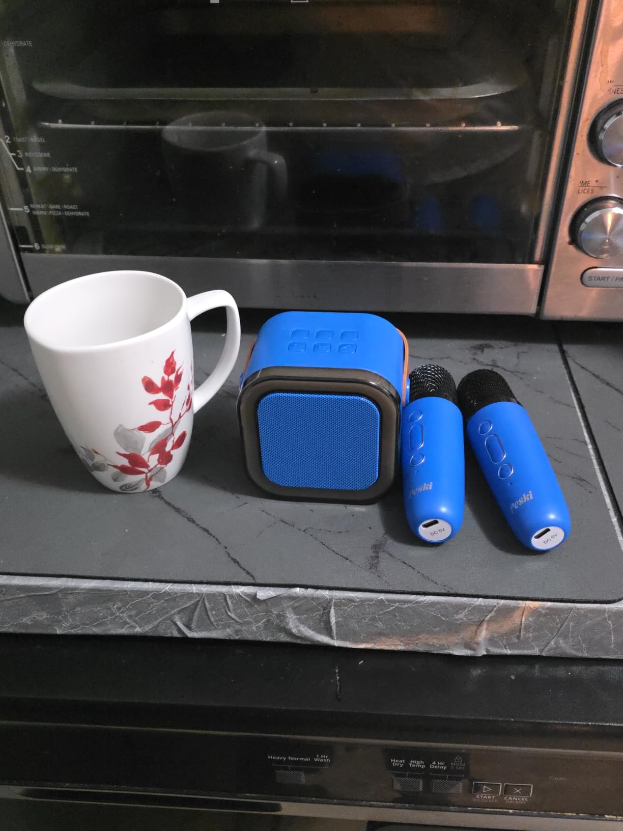 Karaoke Machine Kids Adults,Bluetooth Speaker with 2 Wireless Microphones customer photo 2