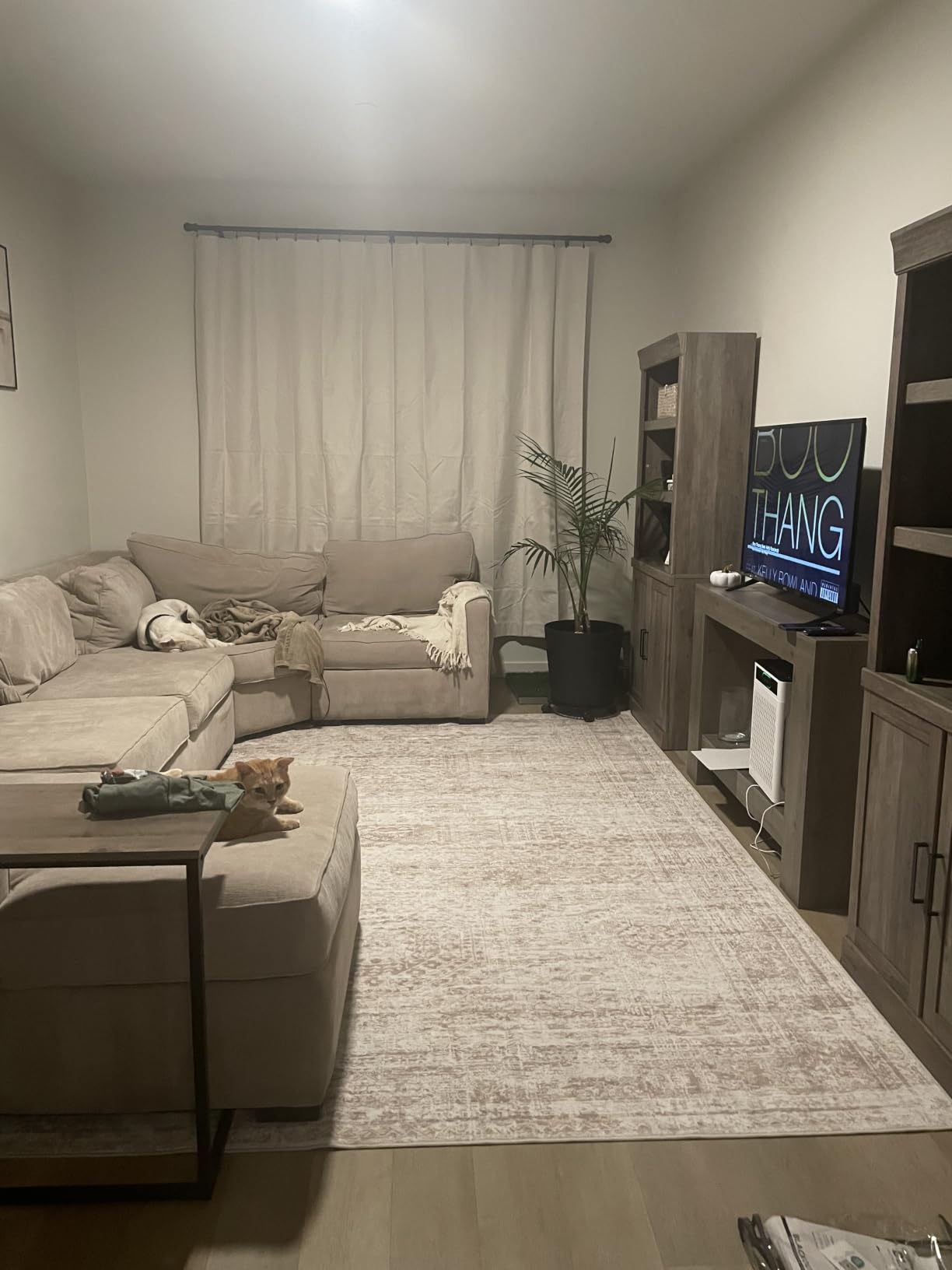 Soalmost Washable Area Rug 8x10 Large Soft Beige Rugs for Living Room customer photo 1