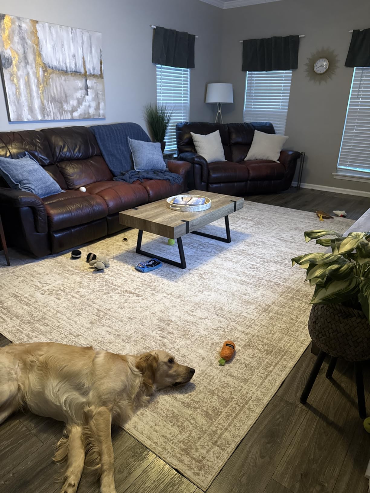 Soalmost Washable Area Rug 8x10 Large Soft Beige Rugs for Living Room customer photo 2