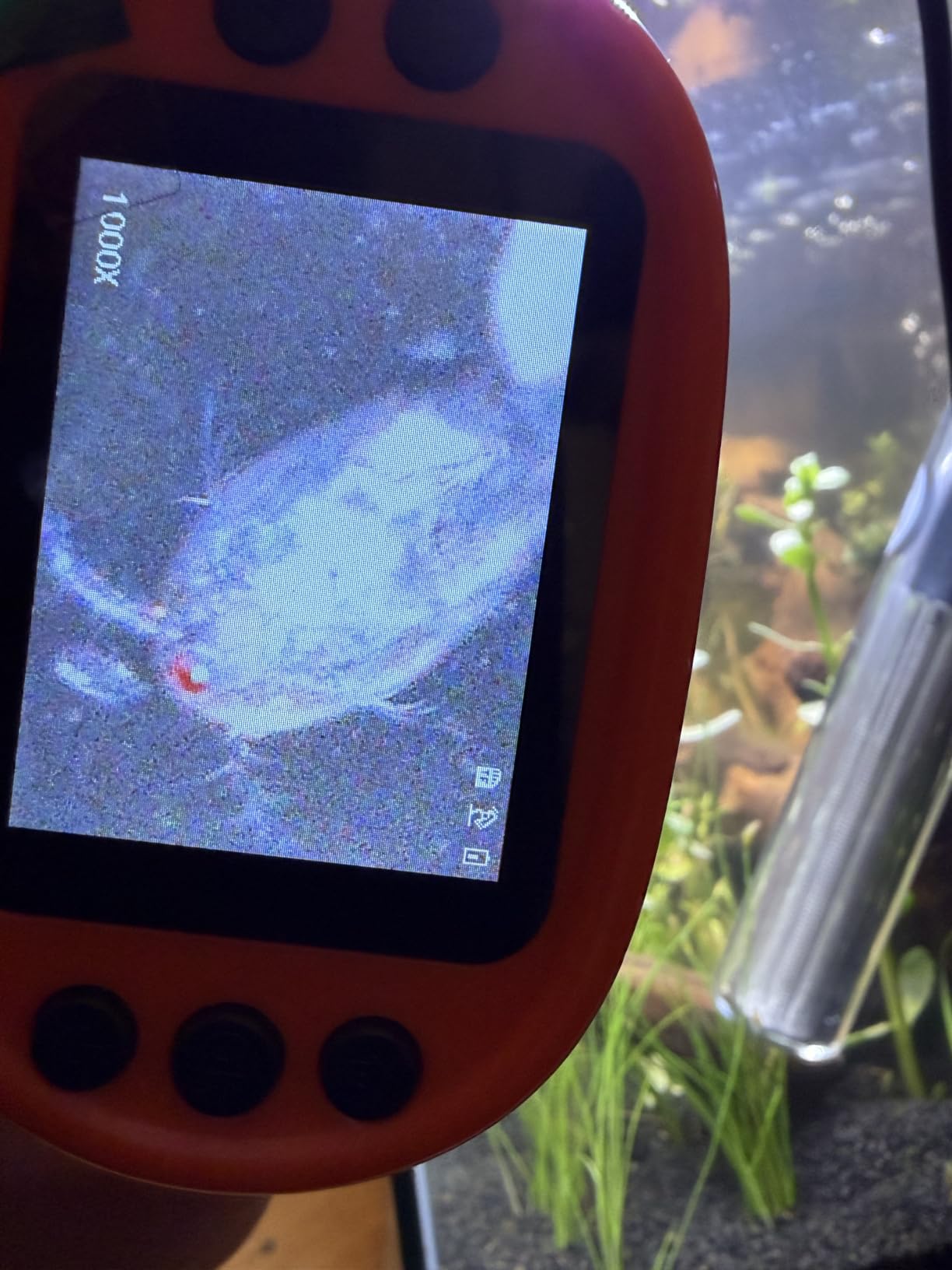 Kids Digital Microscope STEM Toy: Complete Science Gift Kit for Ages 4-12 customer photo 1