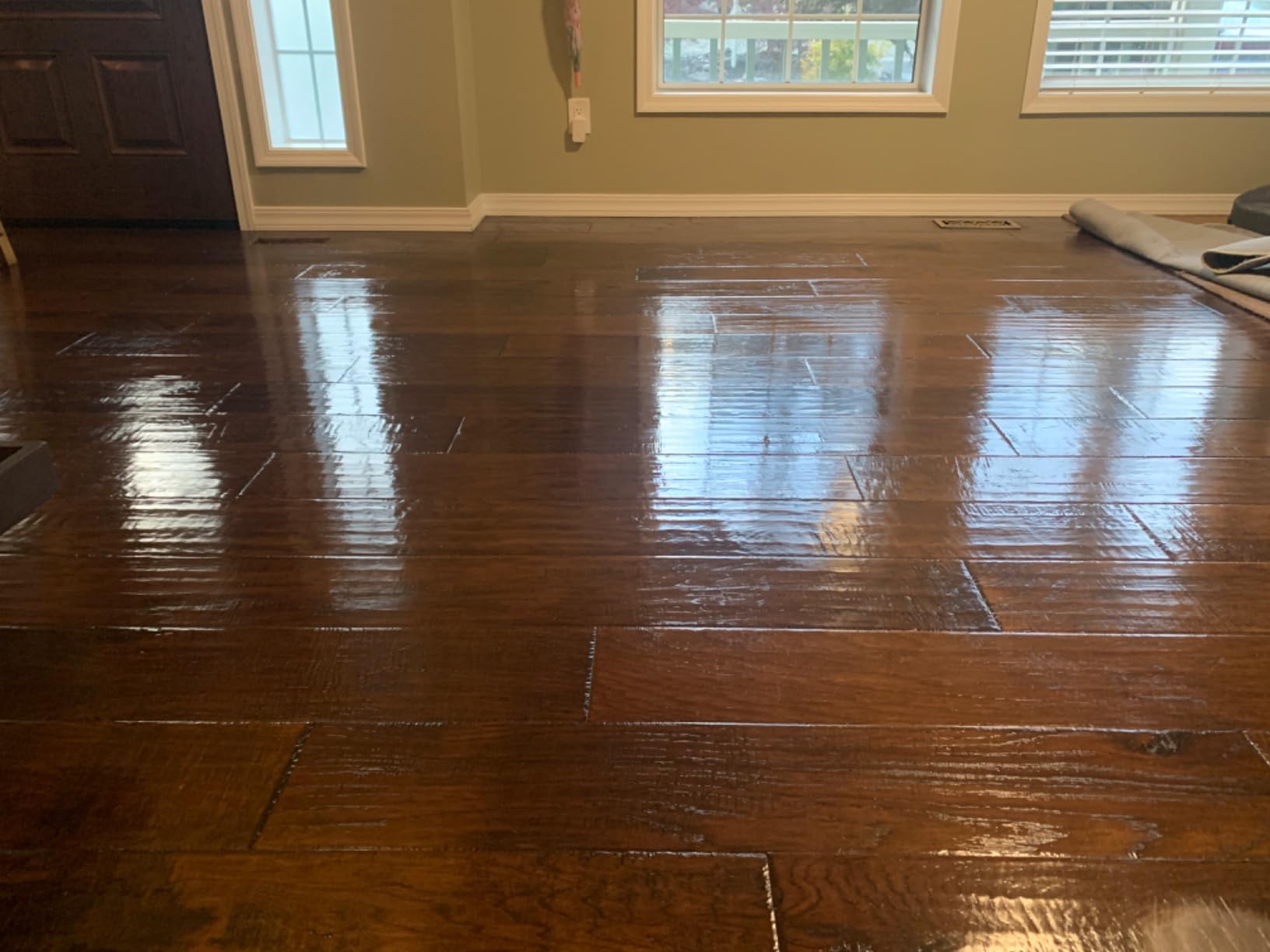 Shark Steam & Scrub Steam Mop, All-in-One Hard Floor Cleaner, Grey, S8001 customer photo 1