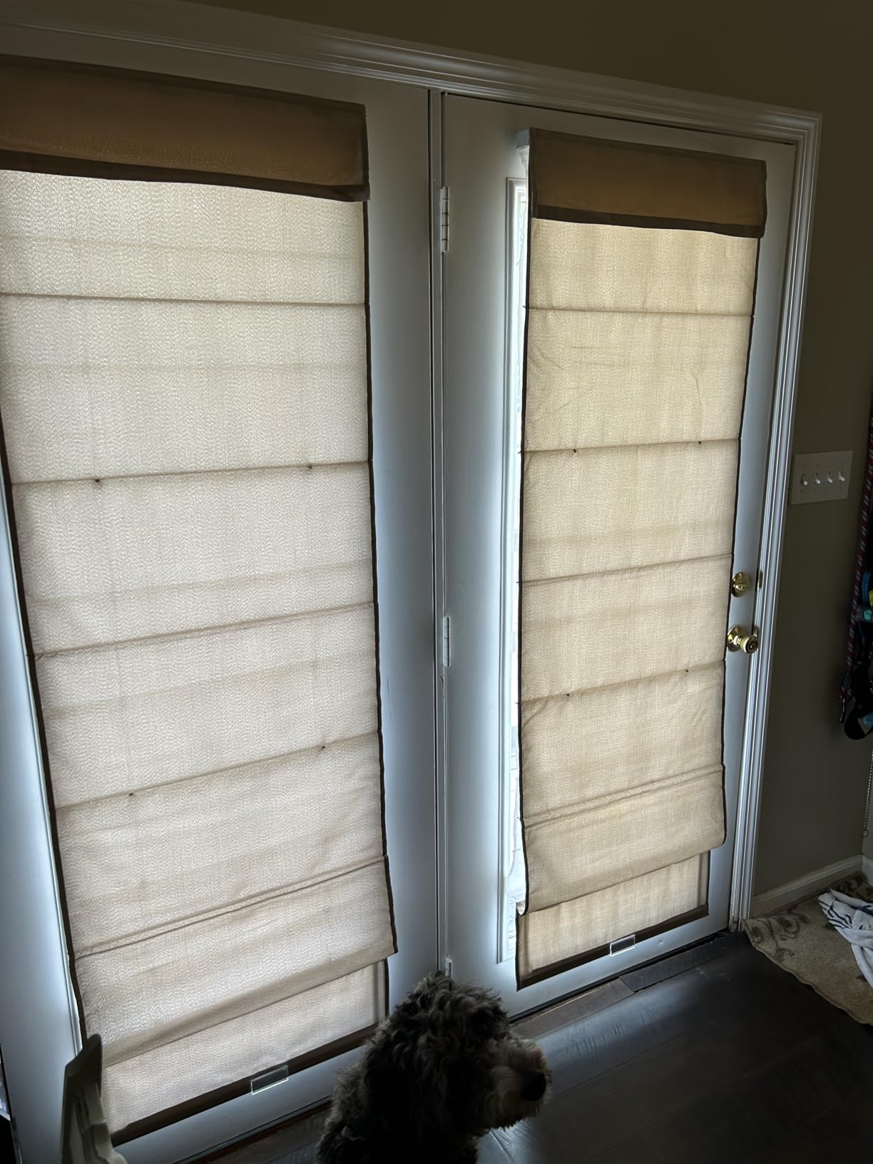 Chicology Cordless Roman Window Shade, Belgian Flax, 30