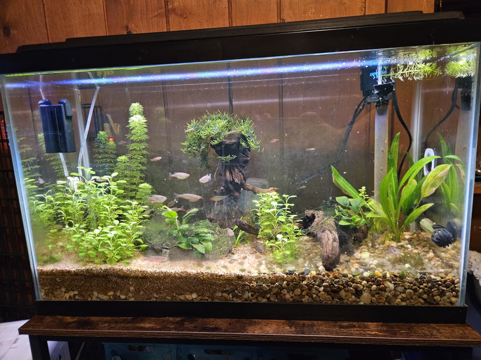 TC-HOMENY Fish Tank Stand 10/20/29/37 Gallon, Aquarium Stand with Charging Station,1000LB Capacity ,31