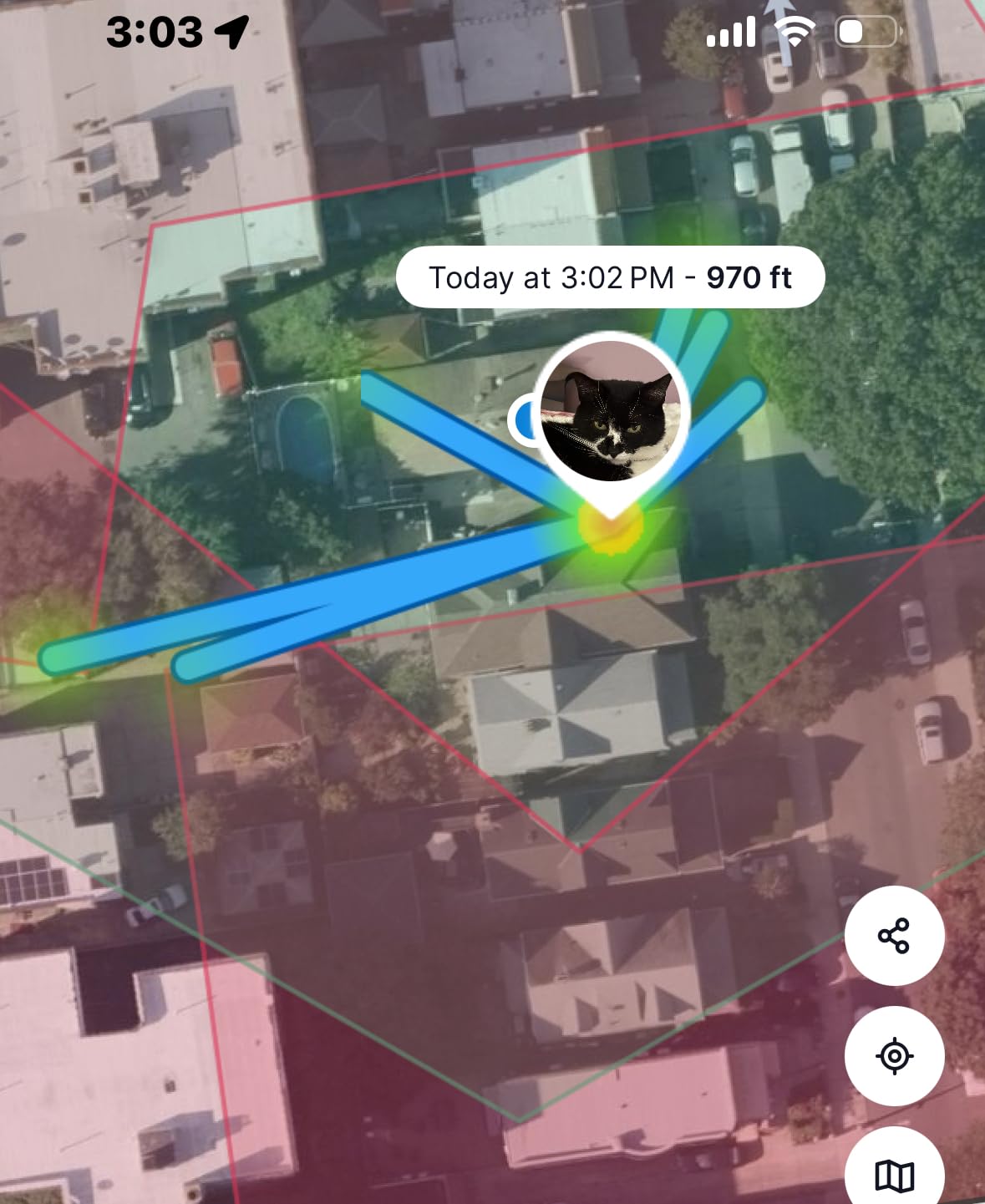 Tractive Smart Cat GPS Tracker | Real-Time Location & Wellness Monitoring for Cats 6.5 lbs+ | Territory & Location History | Up to 5-Day Battery | Breakaway Collar Included (Brown) customer photo 1