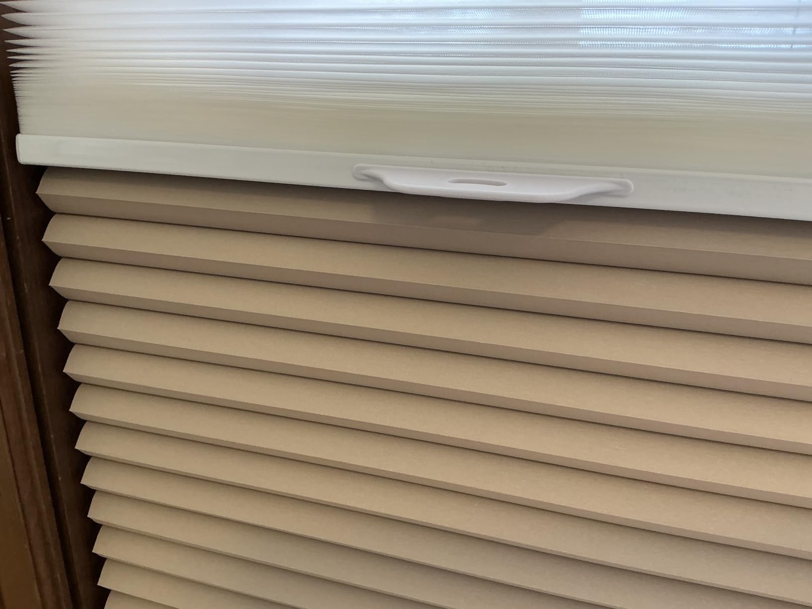 2-in-1 Day Night Cellular Shades Cordless, Top Down Bottom Up Double Honeycomb Blinds, Blackout and Light Filtering Pull Down Pleated Accordion Shades for Indoor Windows (Custom Size) customer photo 1