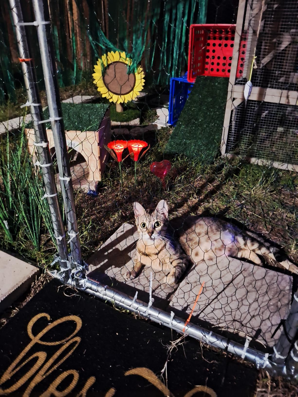 Large Metal Chicken Coop Round Top Upgrade Tri-Supporting Wire Mesh Chicken Run,Chicken Pen with Water-Resident and Anti-UV Cover,Duck Rabbit House Outdoor (25'L x 9'W x 6.5'H) customer photo 2