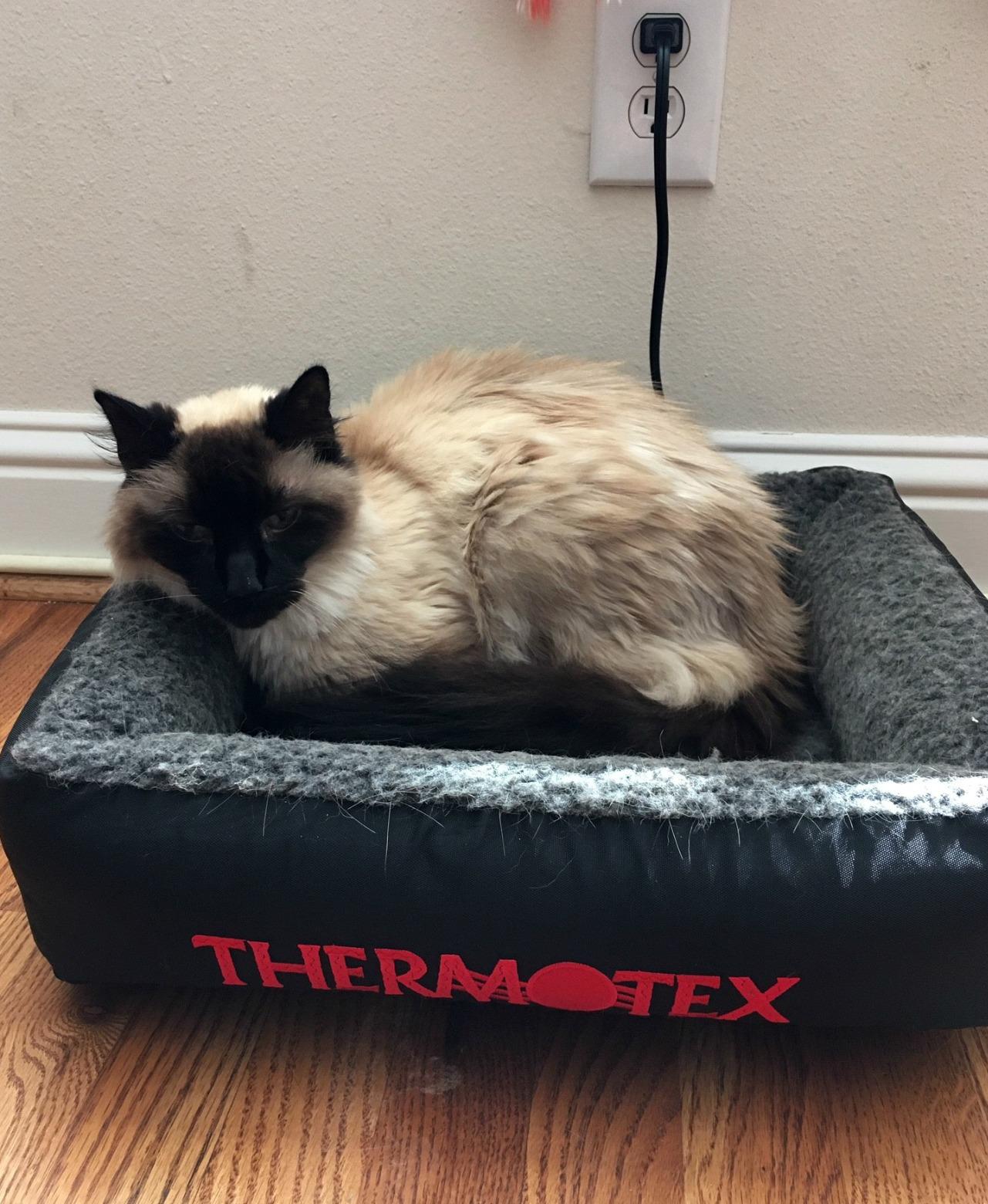 Thermotex Far Infrared Heated Pet Bed, Heated Dog & Cat Bed for Pain Relief & Arthritis, Therapeutic Heat Pad for Elderly Pets customer photo 1