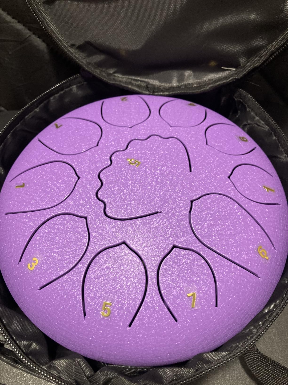 6 Inch Steel Tongue Drum, 8 Notes Rain Drum Instrument, Portable Hand Drum for Meditation, Yoga & Outdoor Use, Includes Mallets, Music Book, Note Stickers & Carry Bag, Beginner Friendly customer photo 1