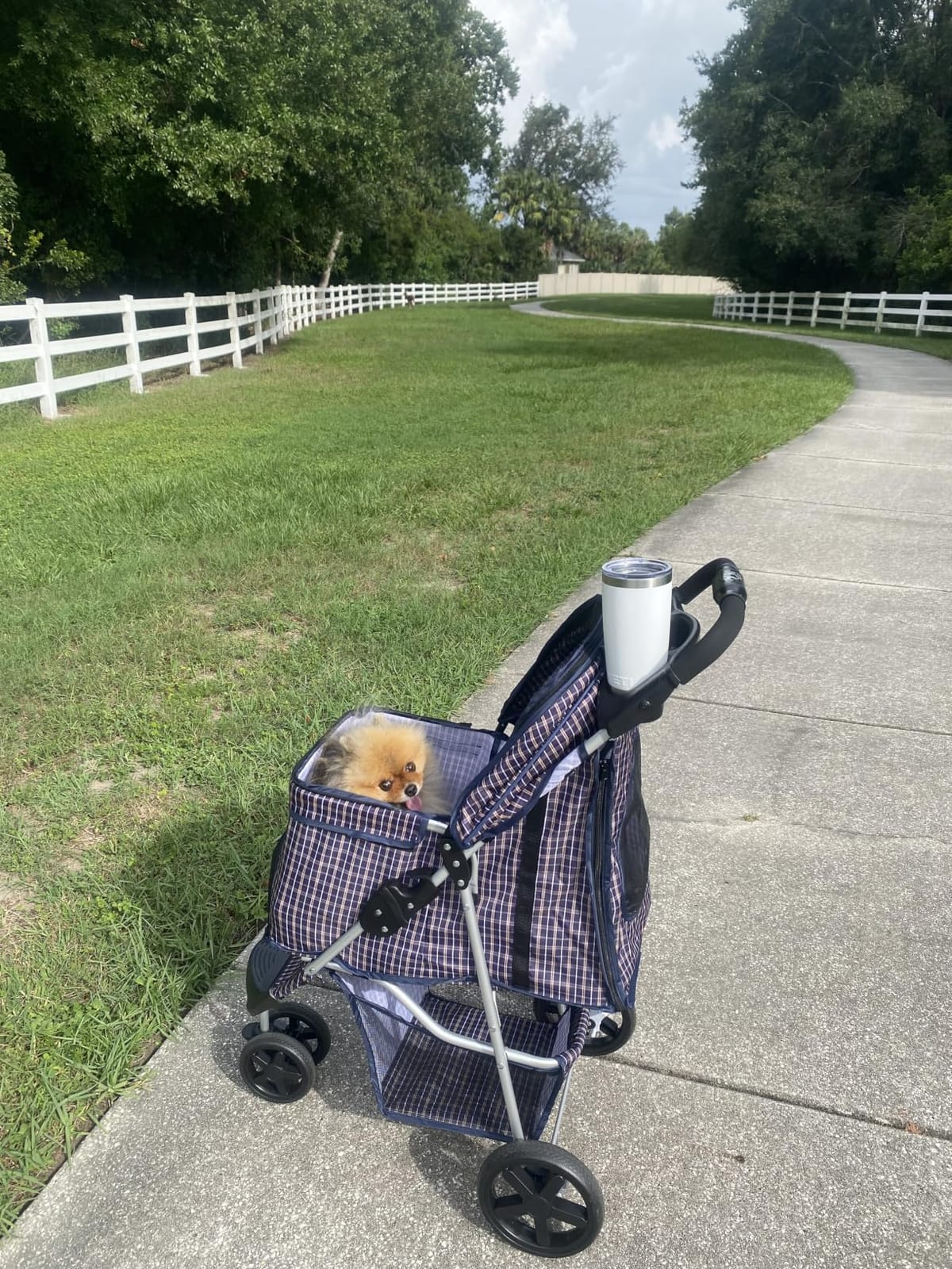 Magshion 3-Wheel Pet Stroller for Small/Medium Dogs & Cats, Up to 33lbs customer photo 2