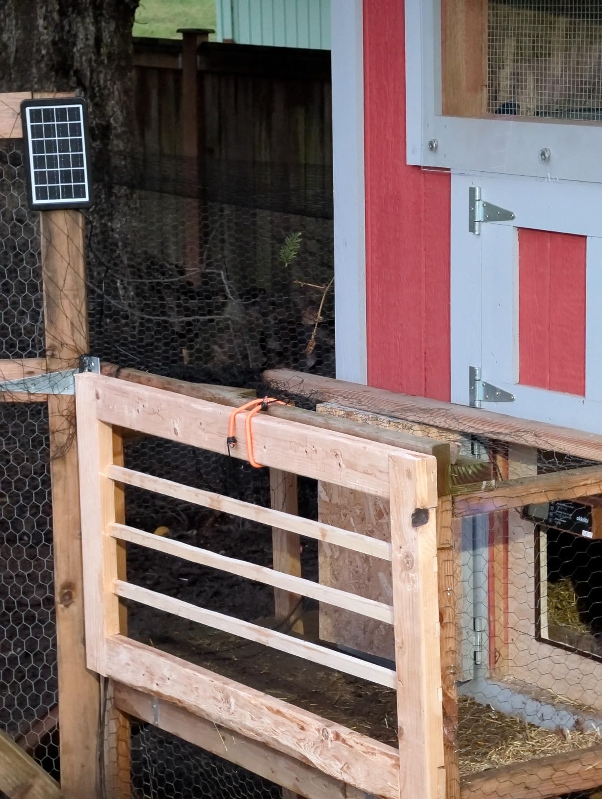 Okkobi Automatic Chicken Coop Door Solar Powered - LCD Display - Chicken Coop Door with Remote Control, Light Sensor & Timer - Security & Peace of Mind: Anti-Pinch Function - 5-Year Protection - Grey customer photo 1
