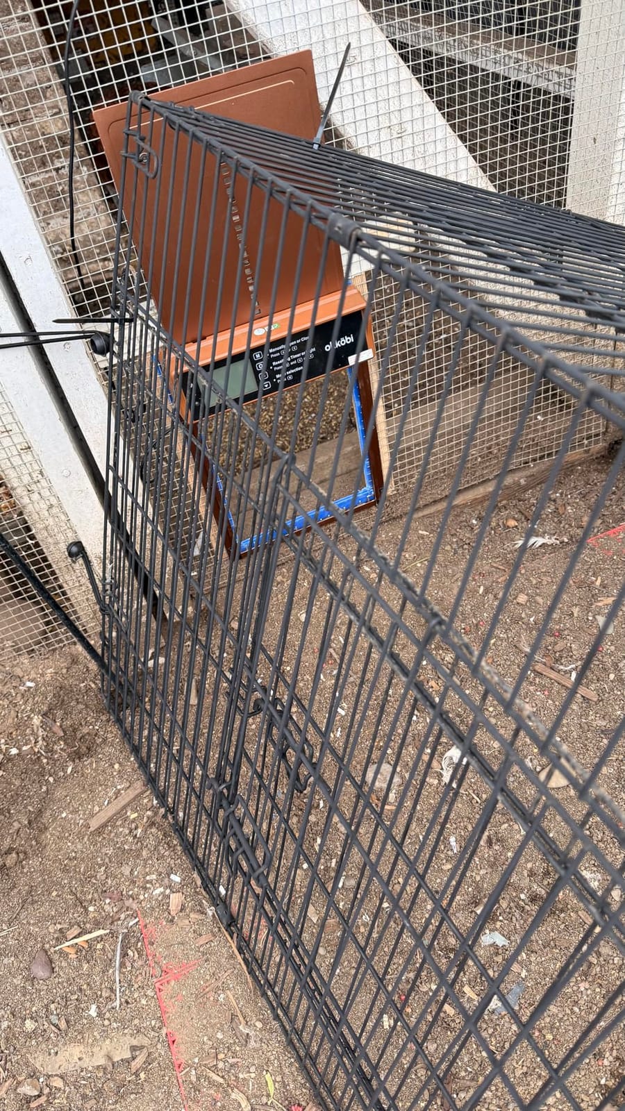 Okkobi Automatic Chicken Coop Door Solar Powered - LCD Display - Chicken Coop Door with Remote Control, Light Sensor & Timer - Security & Peace of Mind: Anti-Pinch Function - 5-Year Protection - Grey customer photo 2