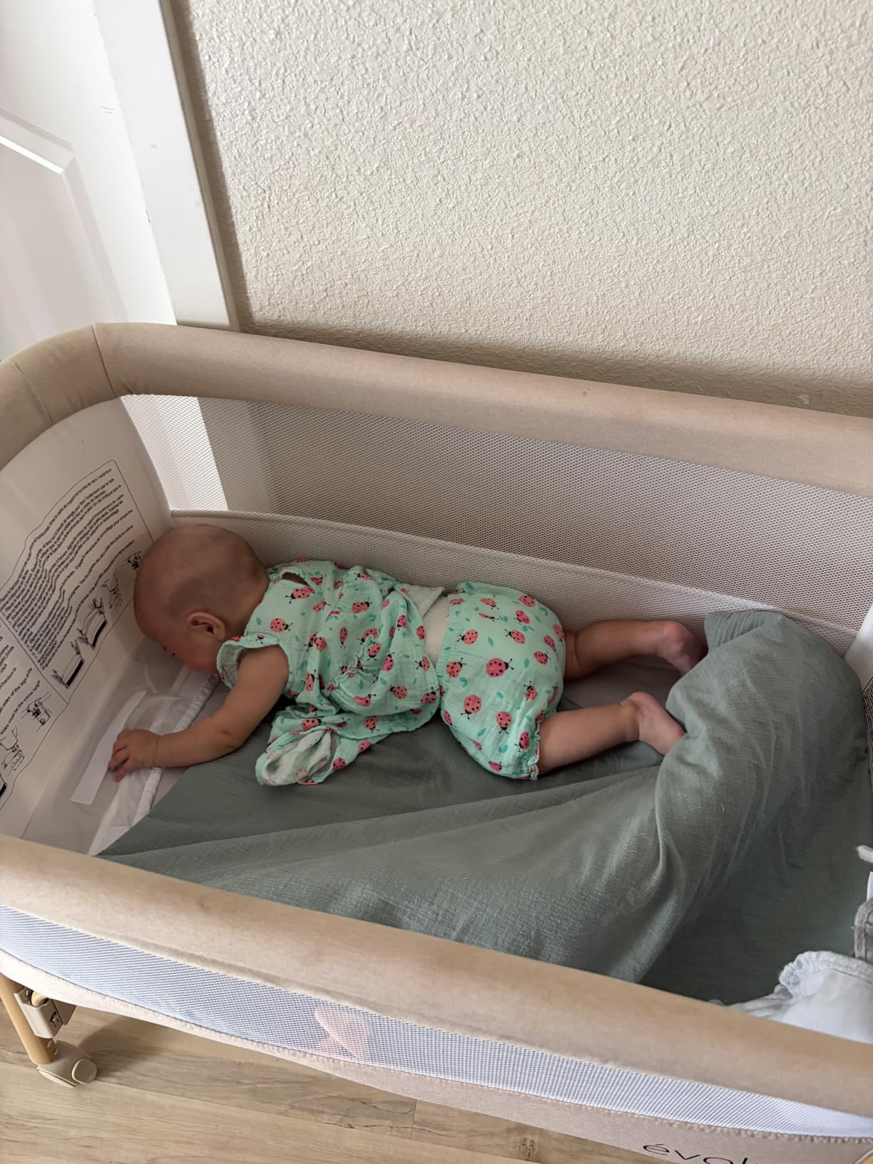 Evolur Lullaby Portable Bassinet with Wheels, Adjustable Bedside Sleeper, Breathable Mesh Sides, Large Storage Basket, Easy Fold, and Travel Bag Included, Perfect for Newborns & Infants - Light Gray customer photo 2