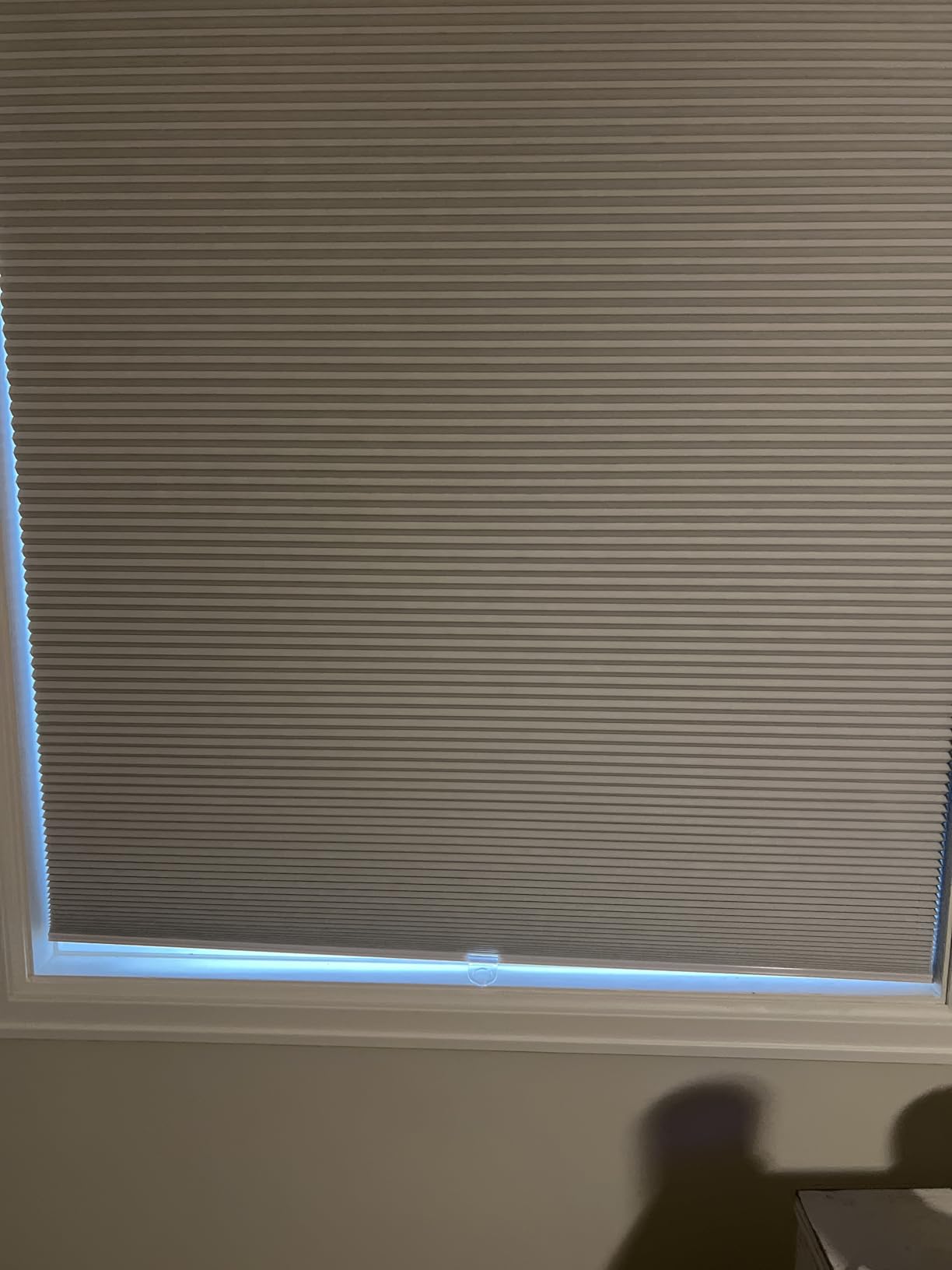Calyx Interiors Cellular Honeycomb Shades, 34