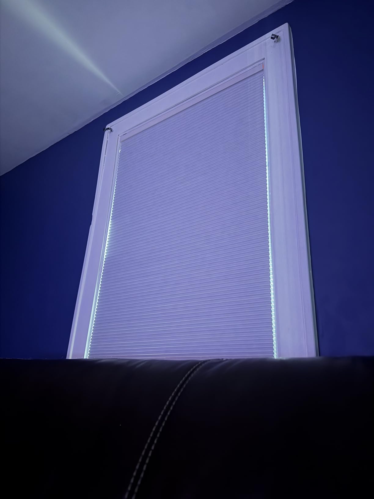 Calyx Interiors Cellular Honeycomb Shades, 34