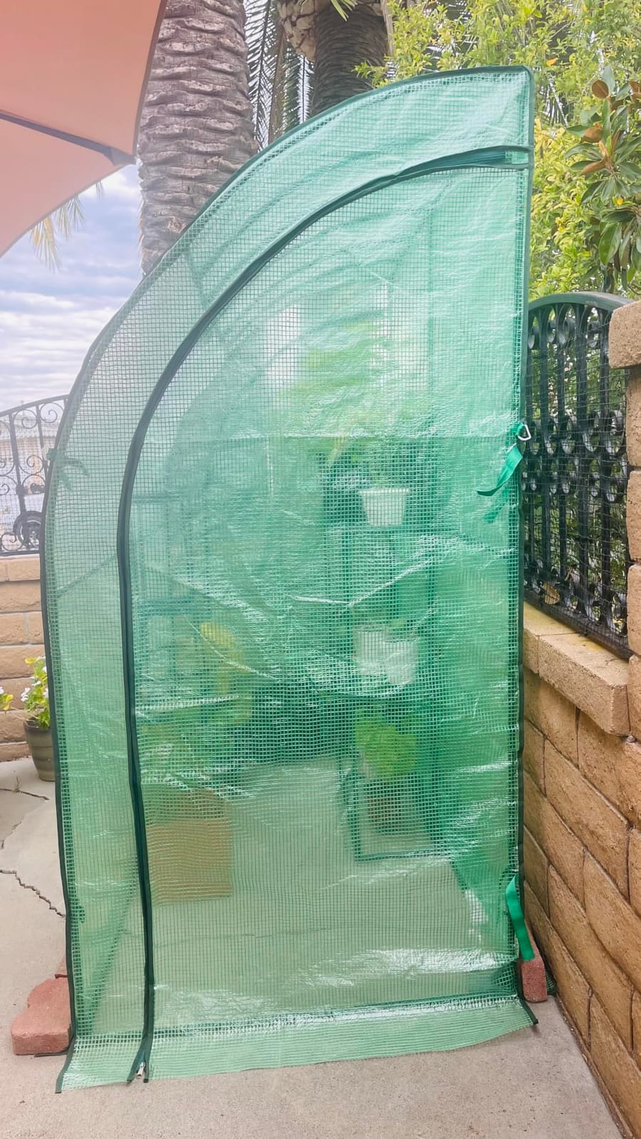 VEVOR Walk-in Tunnel Greenhouse, 9.6x6.4x6.2 ft Hoop House Greenhouse Tunnel, Plant Hot House with Galvanized Steel Frame, White PE Cover, Roll-up Zipper Door and 6 Windows for Outdoor customer photo 1