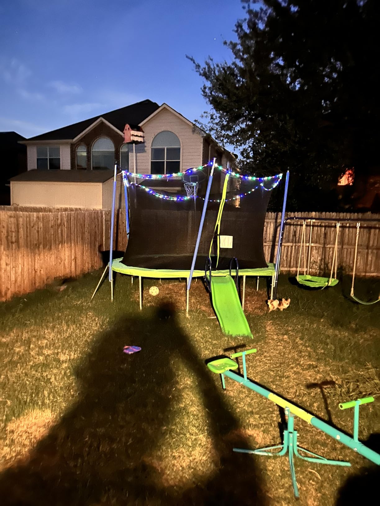 Amictoy Teeter Totter for Kids, 360° Spinning Seesaw, 100 lb Seat customer photo 2