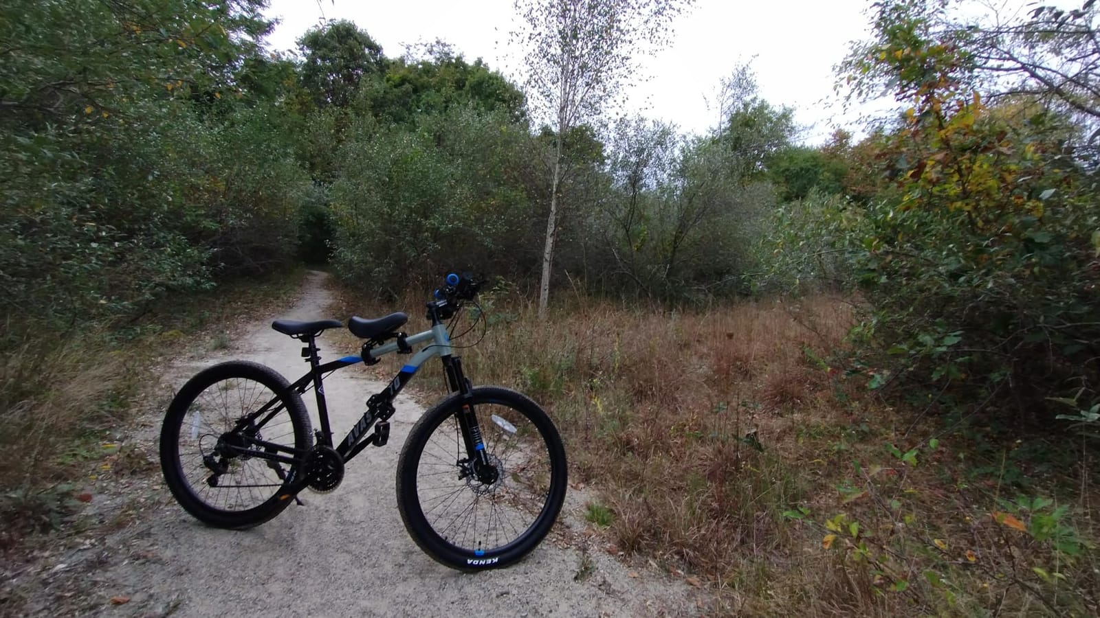 AVASTA Earth 26 27.5 Inch Mountain Bike MTB for Adult Man Women Male | Lightweight Aluminum Alloy Frame, Dual Disc Brakes, Switchable Front Suspension, 21-Speed Gear Shifter customer photo 2