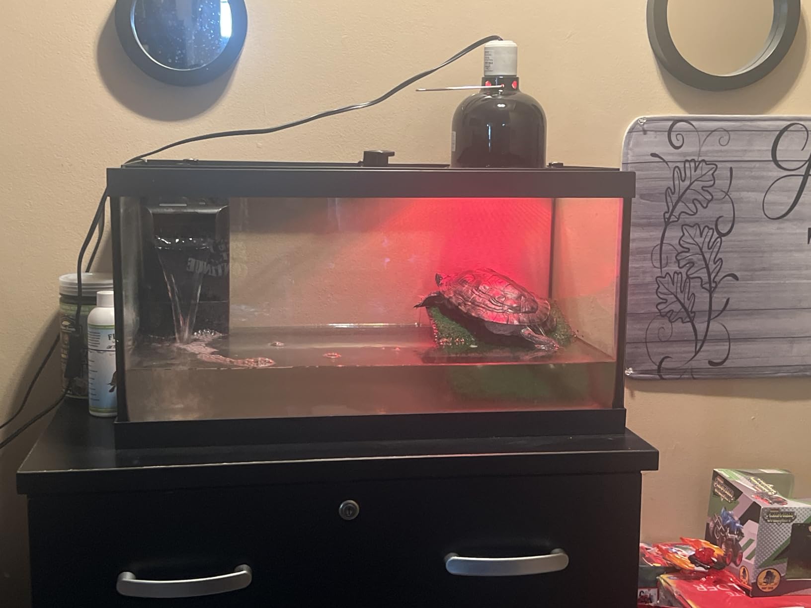 Tetra ReptoHabitat 15 Gallon Complete Kit for Reptiles, Turtles, Amphibians customer photo 2