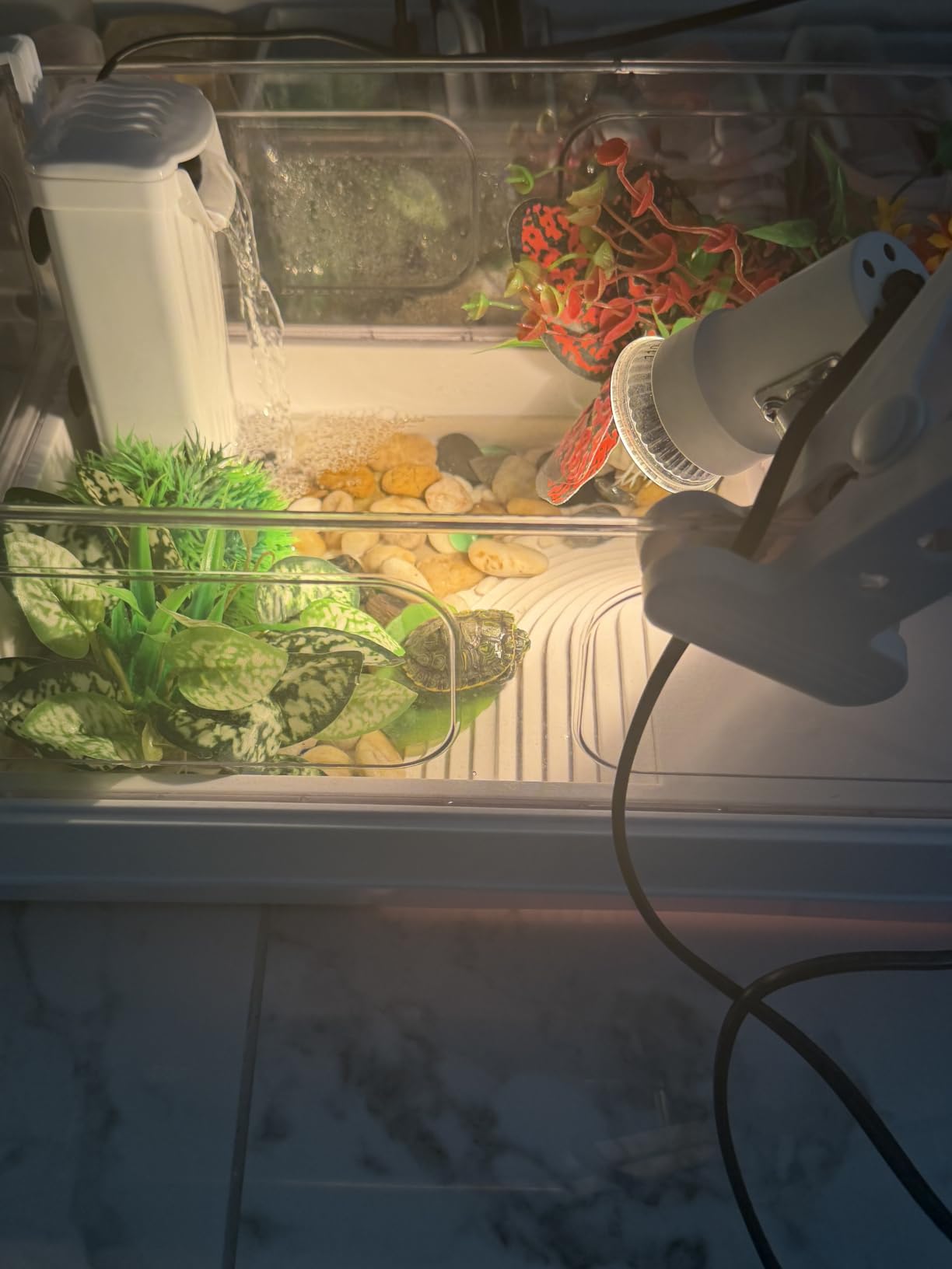 GOZILLA Small Turtle Tank Kit(Tank+Lamp+Filter), Acrylic Turtle Starter Kit with Adjustable Lamp, Reptile Habitat and Terrarium with Multi-Functional Areas for Small Reptiles. (White Kit) customer photo 1