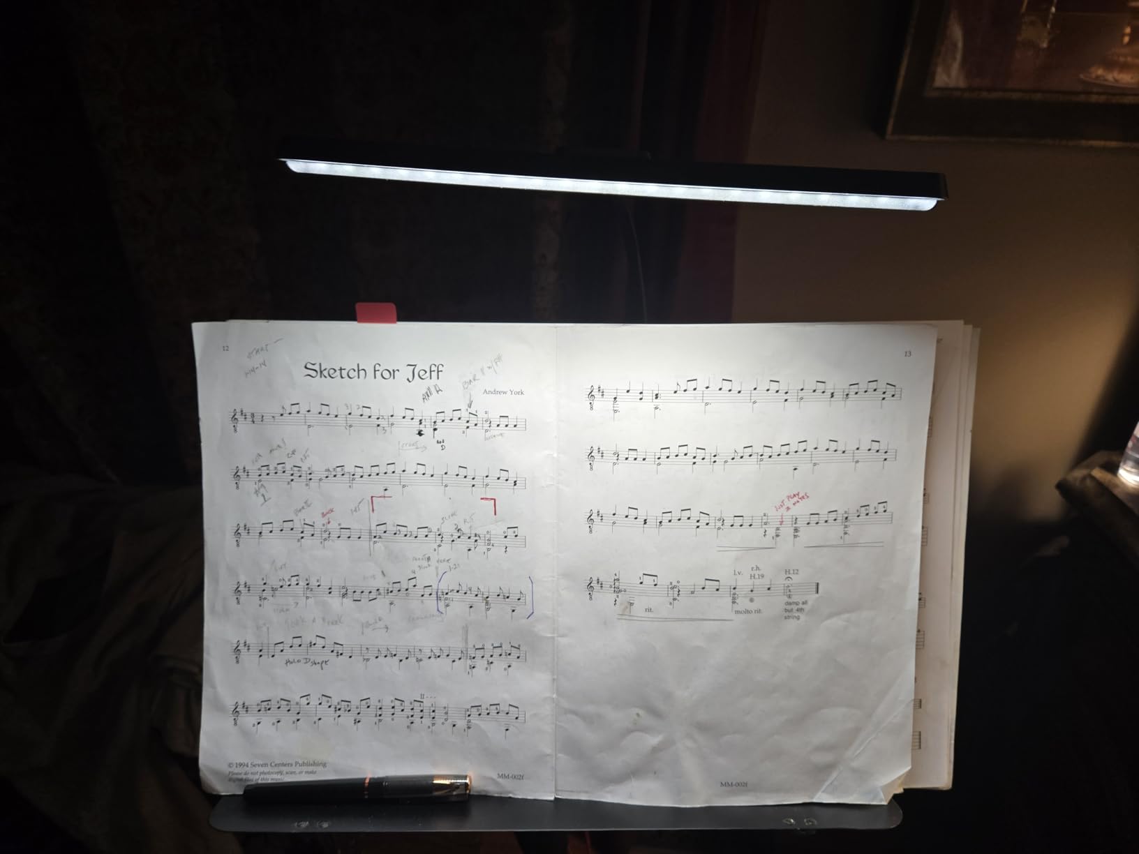 Vekkia Professional 88 LED Rechargeable Music Stand Light customer photo 1