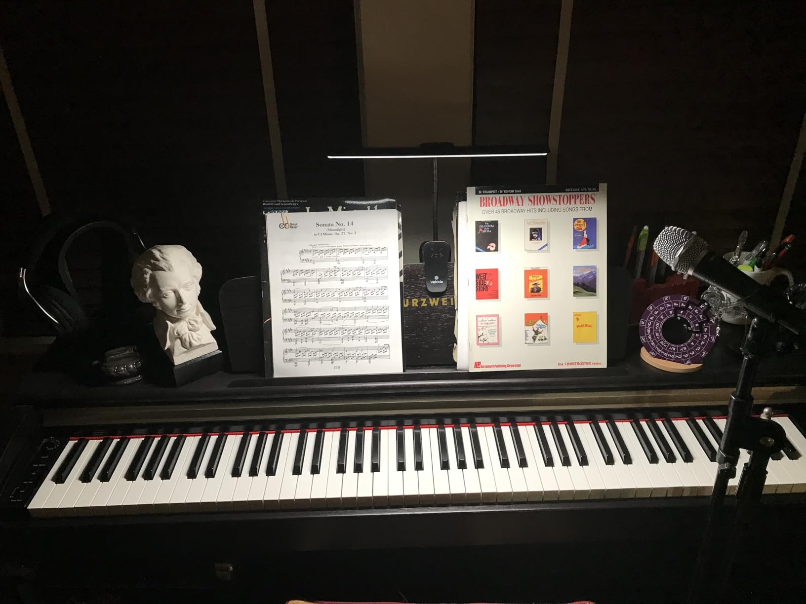 Vekkia Professional 88 LED Rechargeable Music Stand Light customer photo 2