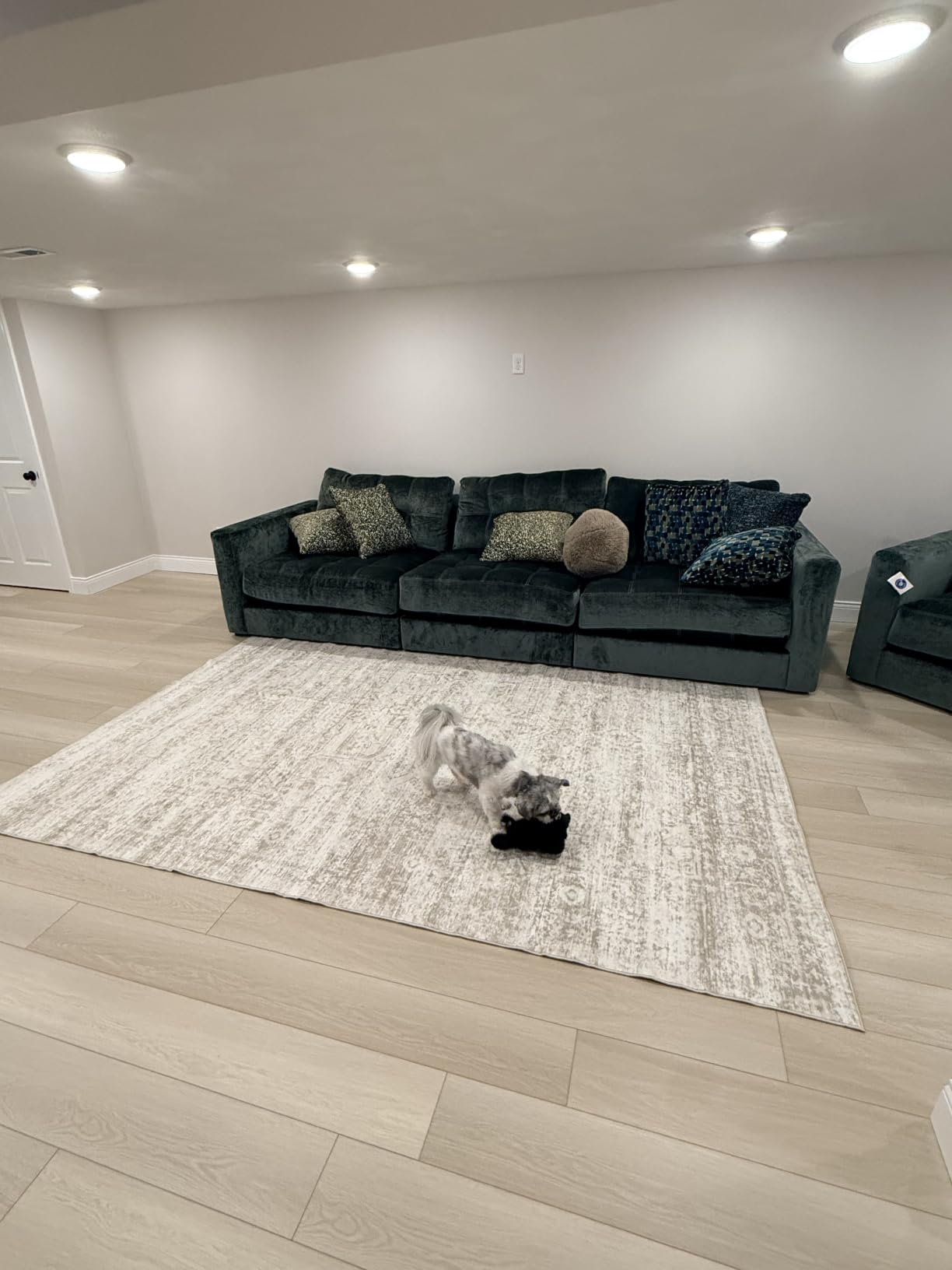 Washable Rugs 9x12 Area Rugs for Living Room,Bedroom,Dining Room Carpet customer photo 1