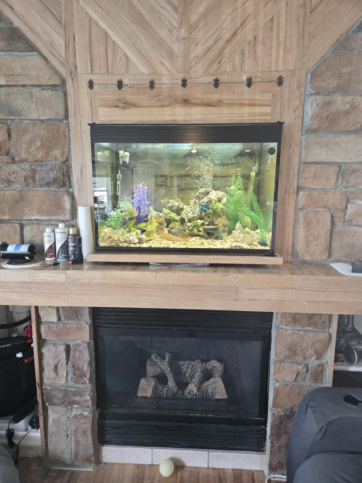 90 Gallon Starfire Aquarium 36x24x24 H customer photo 1